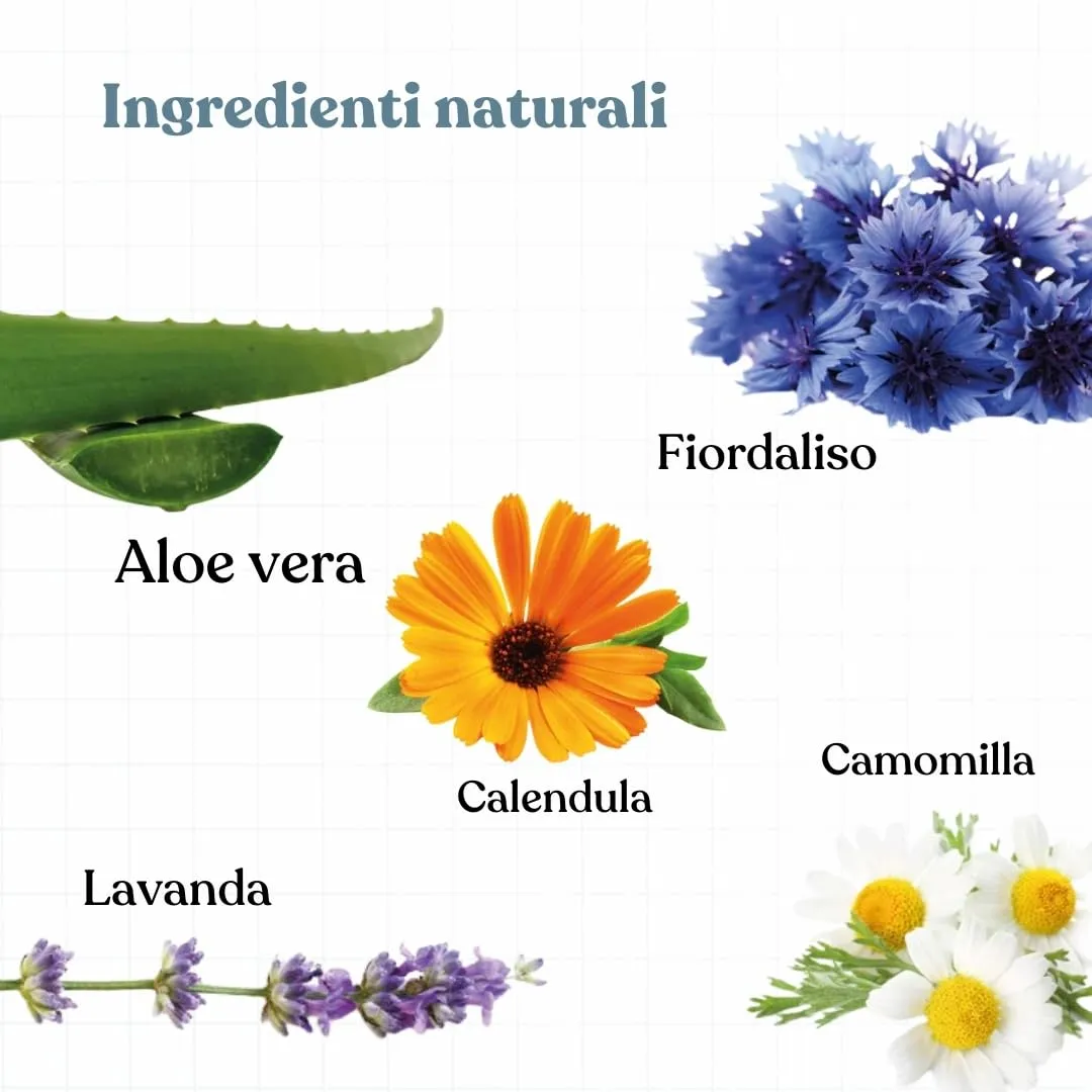 Bau Pulizia Orecchie Cane Delicata con Aloe Vera, Camomilla e Calendula – Detergente Orecchie Cane Rimuove Cerume e Impurità – Riduce Pruriti e Cattivi Odori - immagine 5