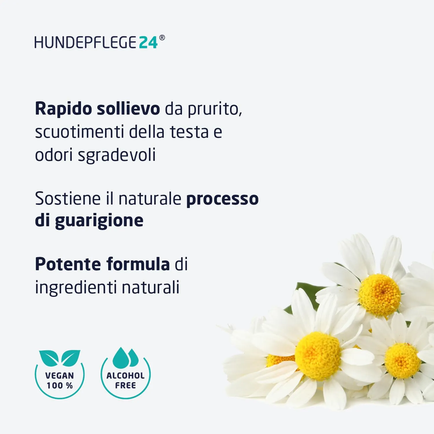 Hundepflege24 detergente Auricolare Cane ACUTO - Detergente Extra Forte per Le Orecchie del Cane Contro infiammazioni & infezioni - Pulizia Orecchie Cane/Gocce Orecchie Cani e Gatti 250ml - immagine 3