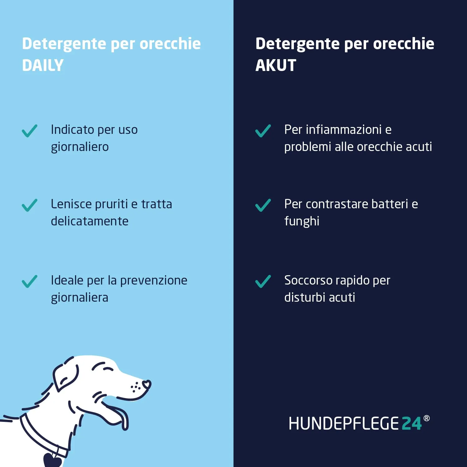 Hundepflege24 detergente Auricolare Cane ACUTO - Detergente Extra Forte per Le Orecchie del Cane Contro infiammazioni & infezioni - Pulizia Orecchie Cane/Gocce Orecchie Cani e Gatti 250ml - immagine 4
