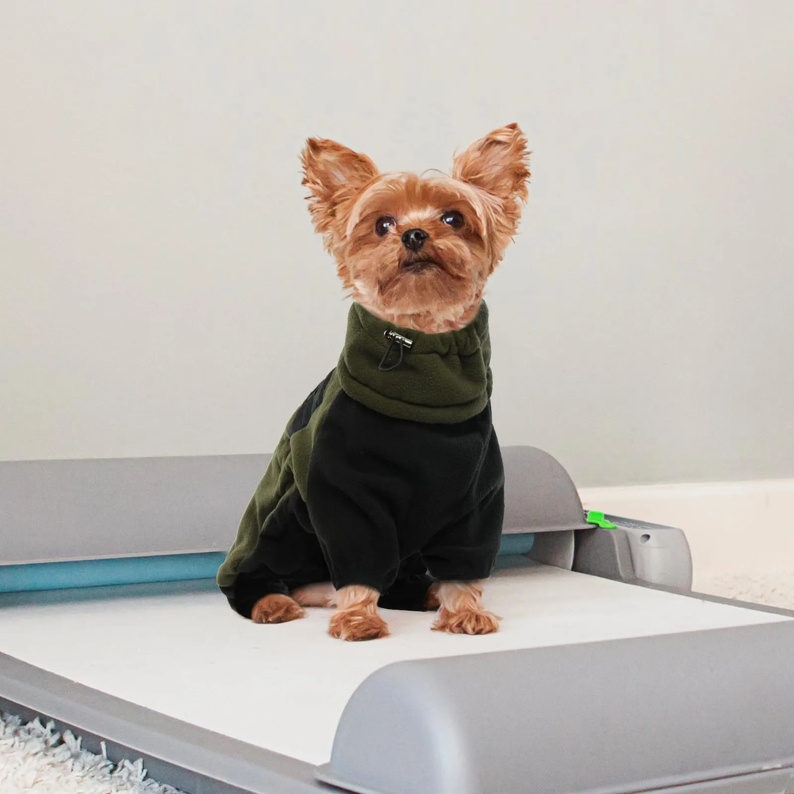 Cappotto Cane Taglia Media, Giubbotto Cane Pullover Cani Taglia Media Giacca Invernale Per Cani Felpe Per Cani(Verde Militare, M) - immagine 5