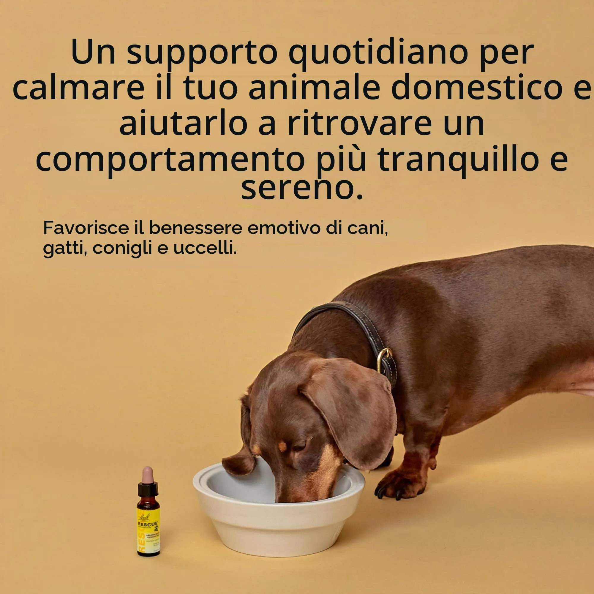 RESCUE PETS - Contagocce per animali domestici, ideale per viaggi, visita veterinaria, toelettatura, rumore e solitudine, senza alcool, naturale e vegano, flacone da 20 ml - immagine 4