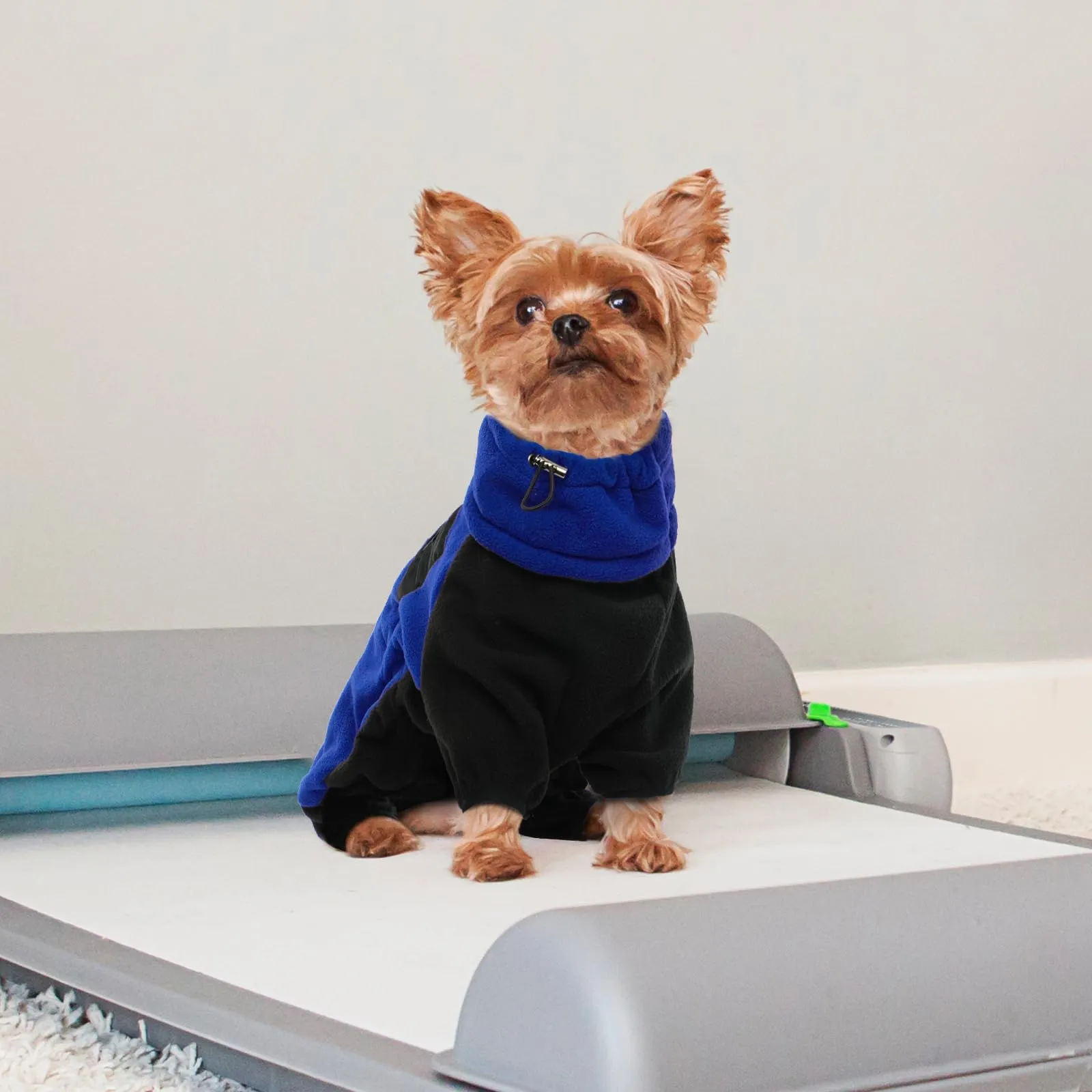 Cappottino Pile per Cani, Pullover Maglioncino Felpa Maglietta Vestito Invernale Pigiama a Quattro Zampe (Blu, L) - immagine 5