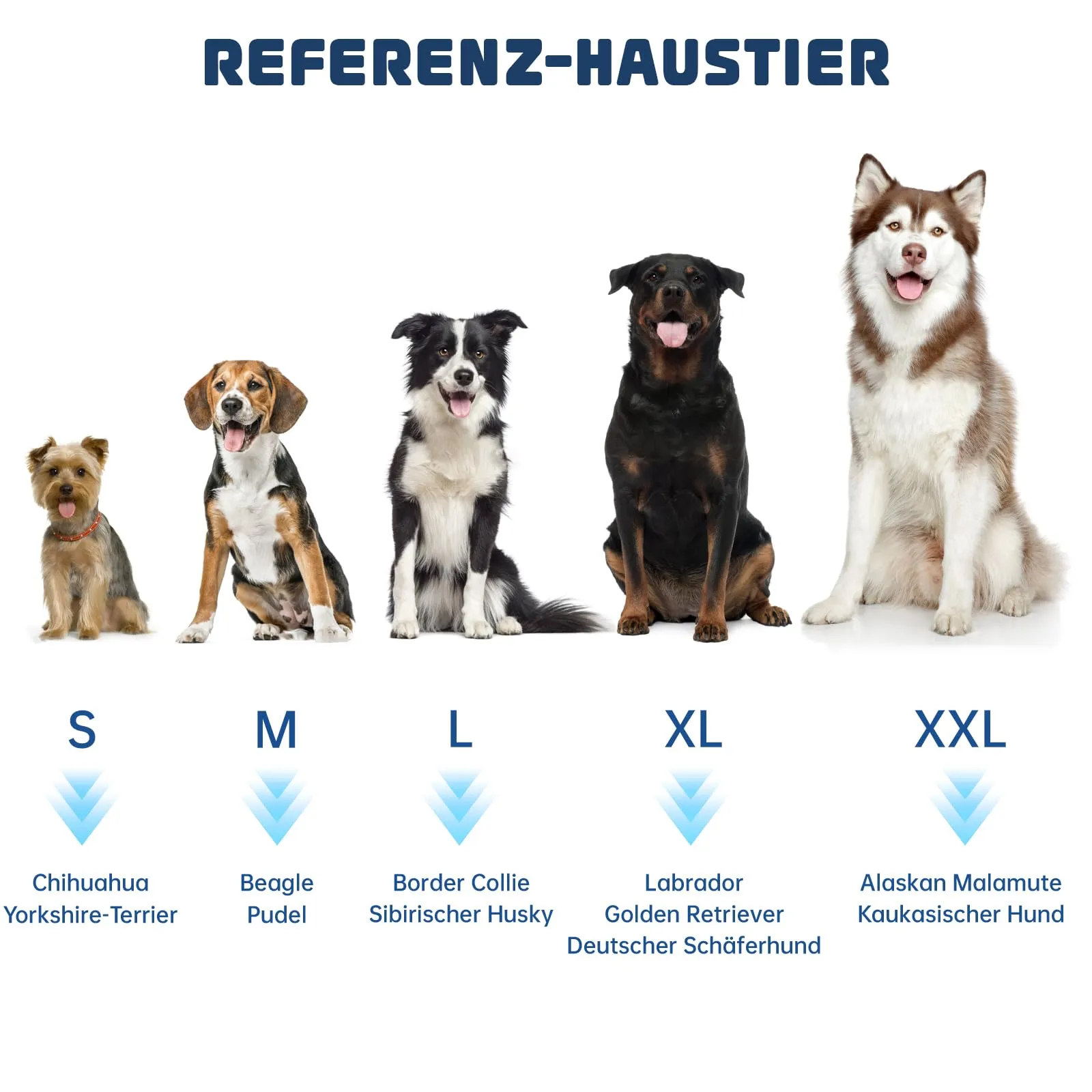 WUFANC Accappatoio Cane in Microfibra - Super Assorbente e Asciugatura Rapida - Asciugamano Cane Chiusura in Cinghie e Fascia Regolabile - Adatto per Cani di Taglia Grande, Media e Piccola - immagine 6