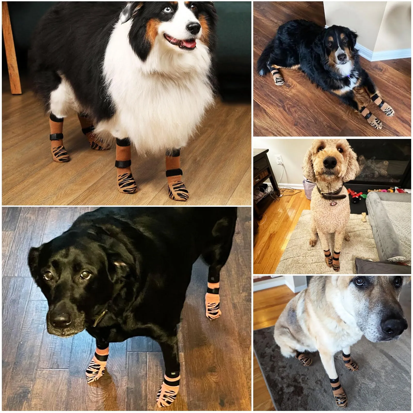 2 Paia Calzini Antiscivolo per Cani da Interno, Calze per Cani con Doppio Silicone Antiscivolo, Migliora la Trazione su Pavimenti in Legno e Piastrelle, Morbidi e Traspiranti - immagine 5
