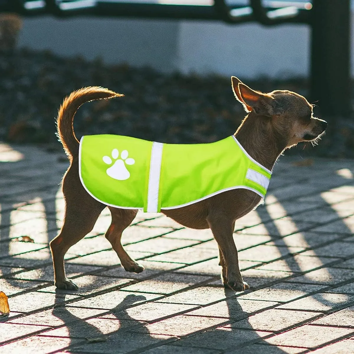 Gilet Riflettente Per Cani, Sicurezza Maglia Del Cane,Costume Riflettente Per Cani,Gilet Sicurezza Per Mantiene Vostro Cane Visibile Sicuro Da Auto E Incidenti Da Caccia - immagine 7