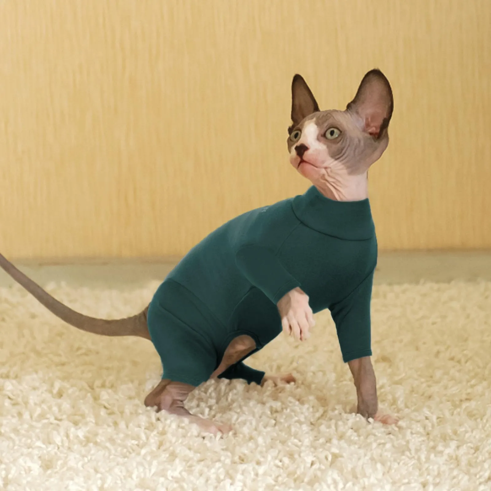 Cappotto Invernale Cani, Maglioncino a Collo Alto Giacca Fleece Antivento Pullover Caldo Gattini Pigiama Felpa Gilet Inverno Morbido per Gatti di Taglia Piccola Media Grande(Verde Scuro, M) - immagine 5