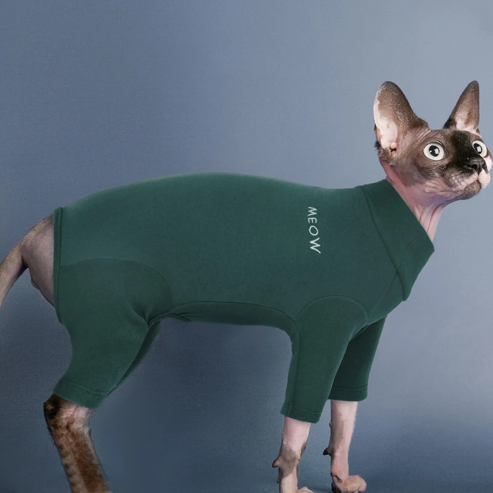Maglione per Gatti Sphynx, Pigiama e Tuta Recupero Post Operatorio, Vestito dopo Chirurgia (Verde Scuro, L) - immagine 6