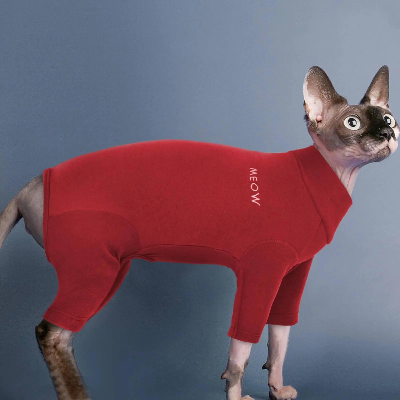 Cappottino per Gatti Sphynx, Vestiti Invernali Maglioni Flecce Morbidi Maglietta Pigiama Quattro Zampe Onesi - Primavera Autunno Inverno (Rosso, L) - immagine 6