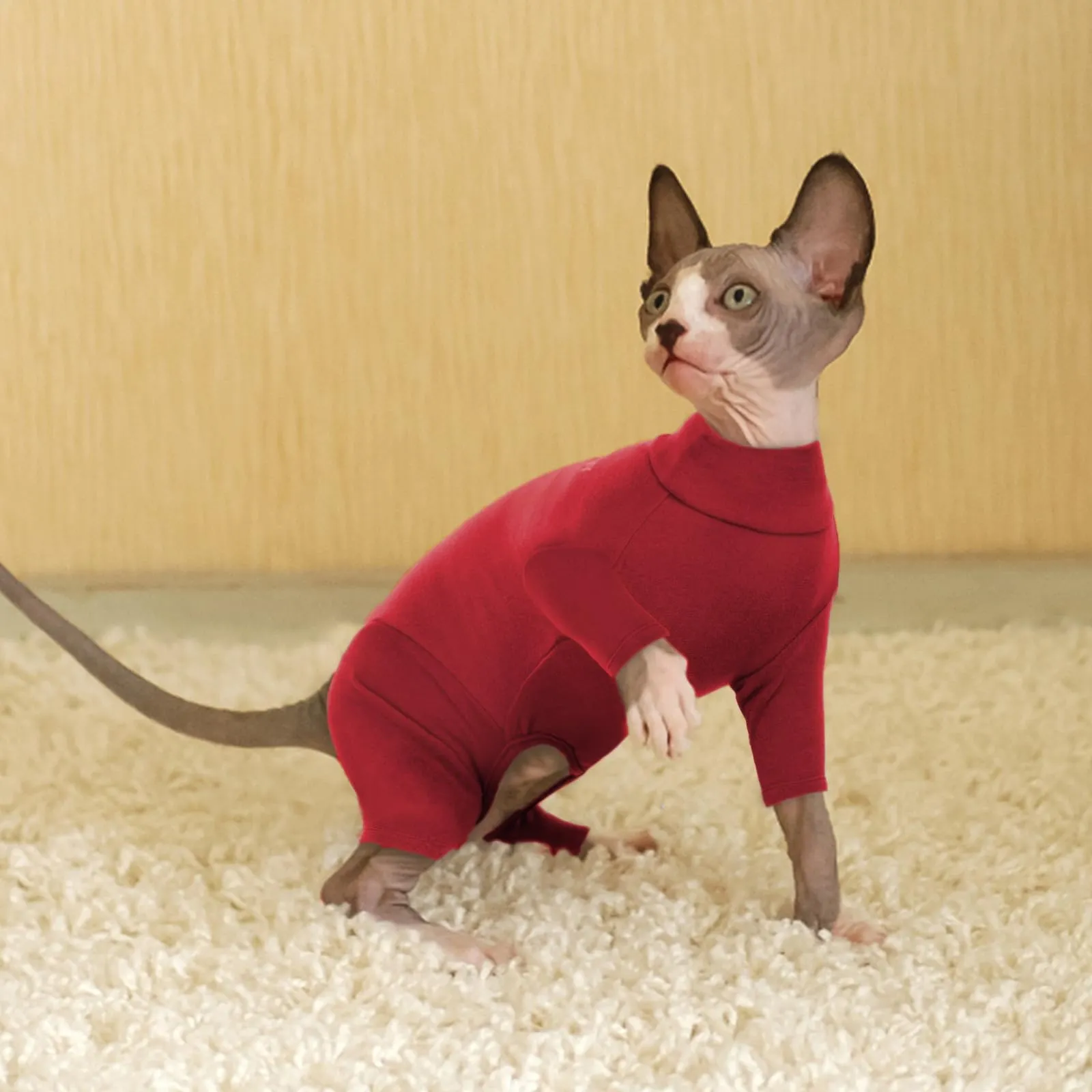 Pullover per Gatti Sphynx - Maglia a Collo Alto per Gatti Senza Peli, Felpa Calda Maglione Invernale Con Maniche per Cornish Rex/Devon Rex/Peterbald (Rosso, S) - immagine 5