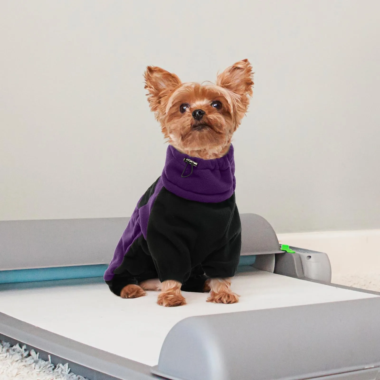 Cappottino Pile, Pullover Pile, Maglioncino Felpa, Maglietta, Vestito Invernale, Pigiama, Vestito a Quattro Zampe per cane (Viola, L) - immagine 5