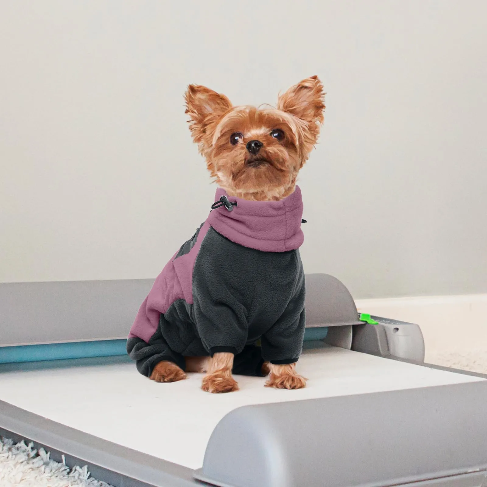 Giacca invernale per cani, maglione in pile con gambe, caldo pullover con sciarpa rimovibile/scaldacollo per cani, maglione a collo alto invernale caldo (rosa, XS) - immagine 5