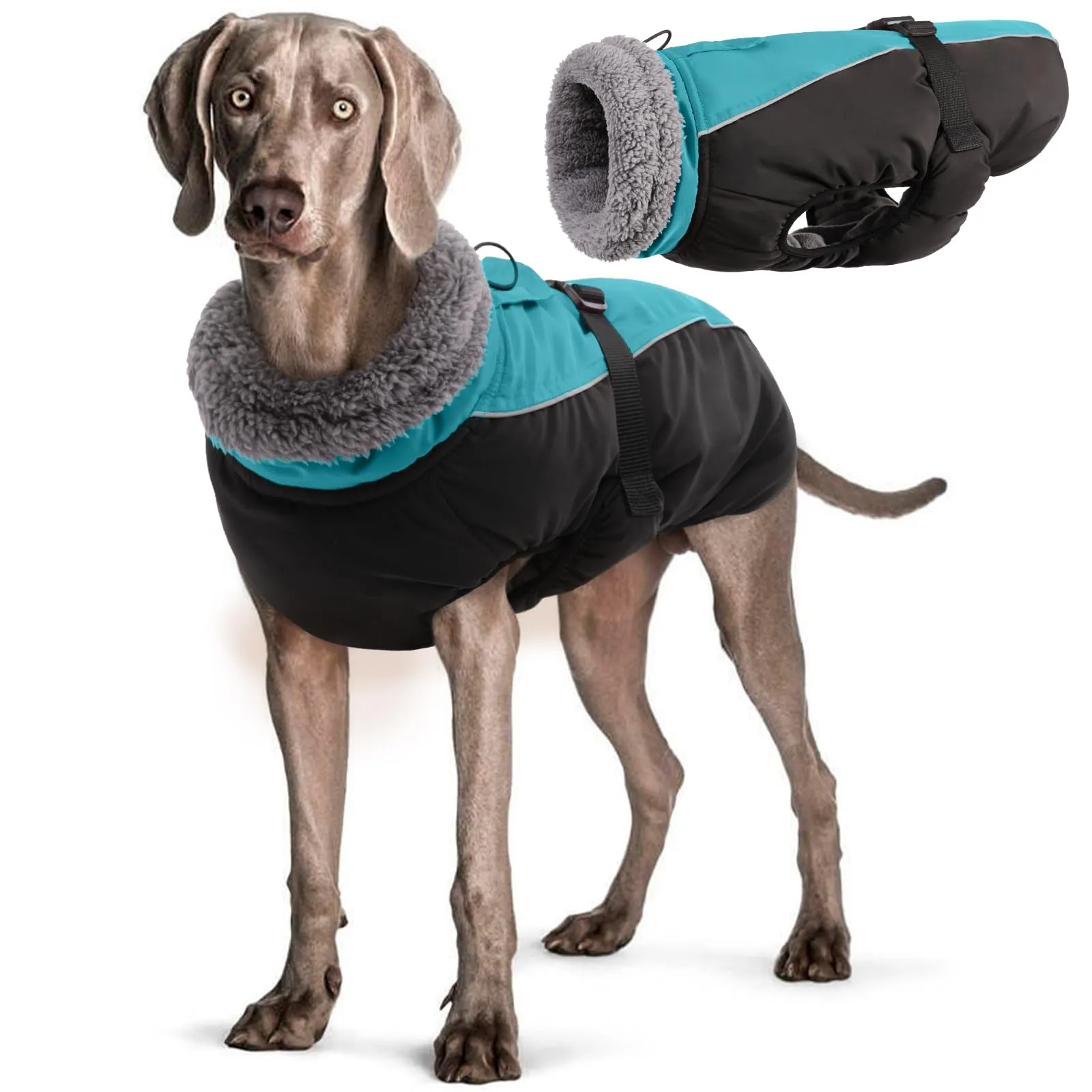 Hjyokuso Cappotto per Cani Impermeabile - Giacca Invernale Calda e Antivento, Abbigliamento Completo per Cani di Taglia Piccola e Media Con Striscia Riflettente - immagine 1
