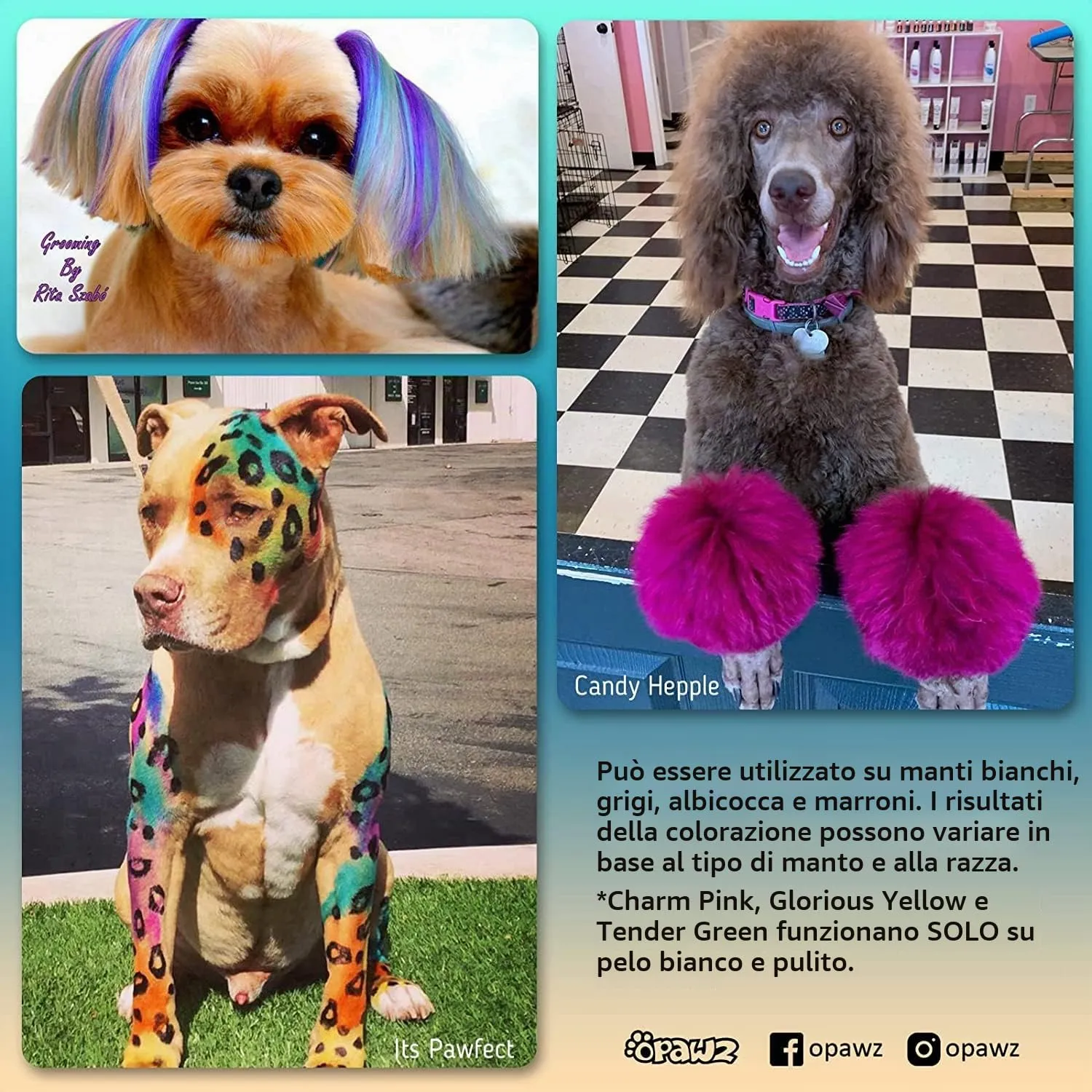 Opawz Permanente Tintura per Cani, Saloni Utilizzata Sicuro per Un Decennio Colorante per Cani, Tintura per Animali Dura Oltre 20 Lavaggi per Cani e Cavalli (Adrian Rosa) - immagine 2