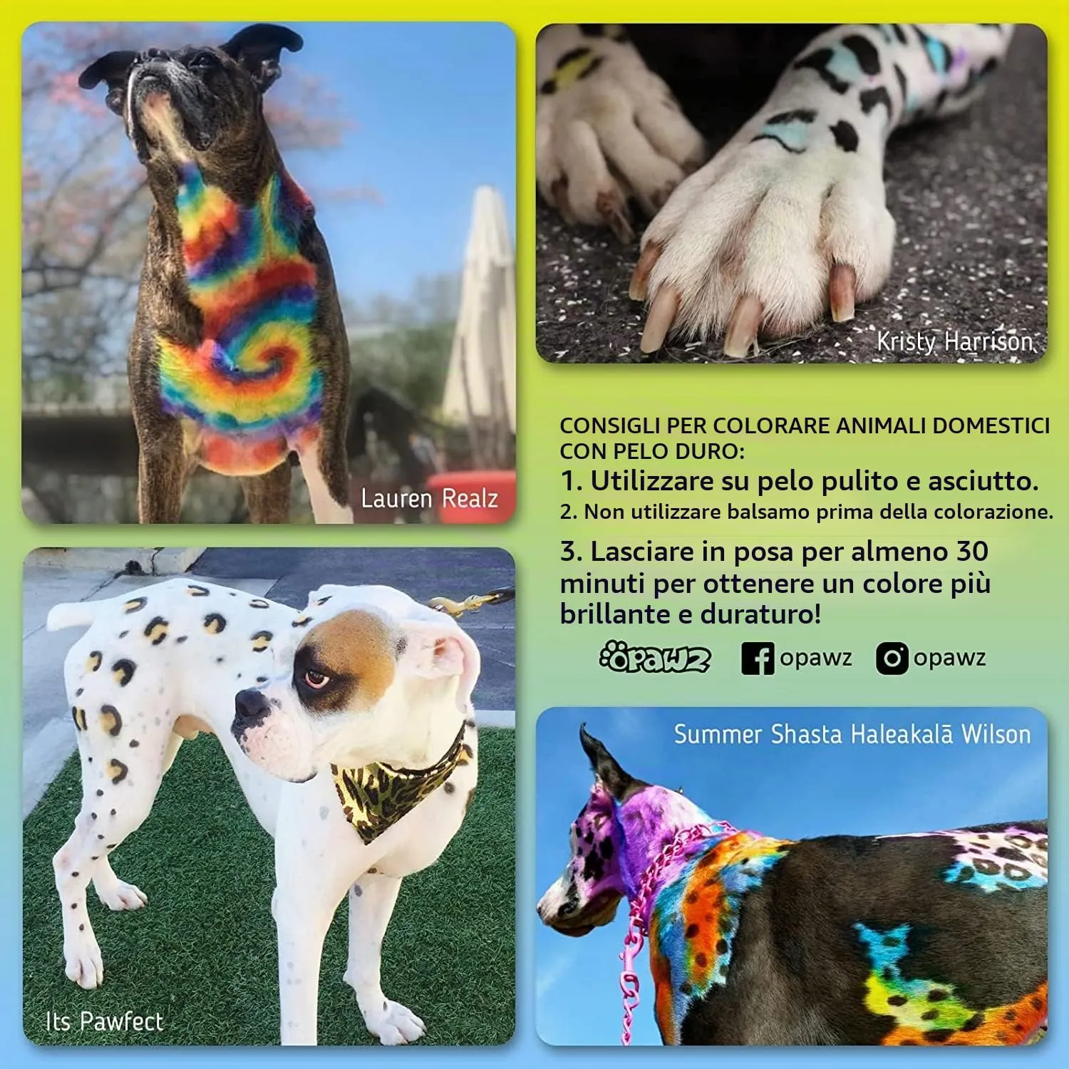 Opawz Permanente Tintura per Cani, Saloni Utilizzata Sicuro per Un Decennio Colorante per Cani, Tintura per Animali Dura Oltre 20 Lavaggi per Cani e Cavalli (Adrian Rosa) - immagine 5