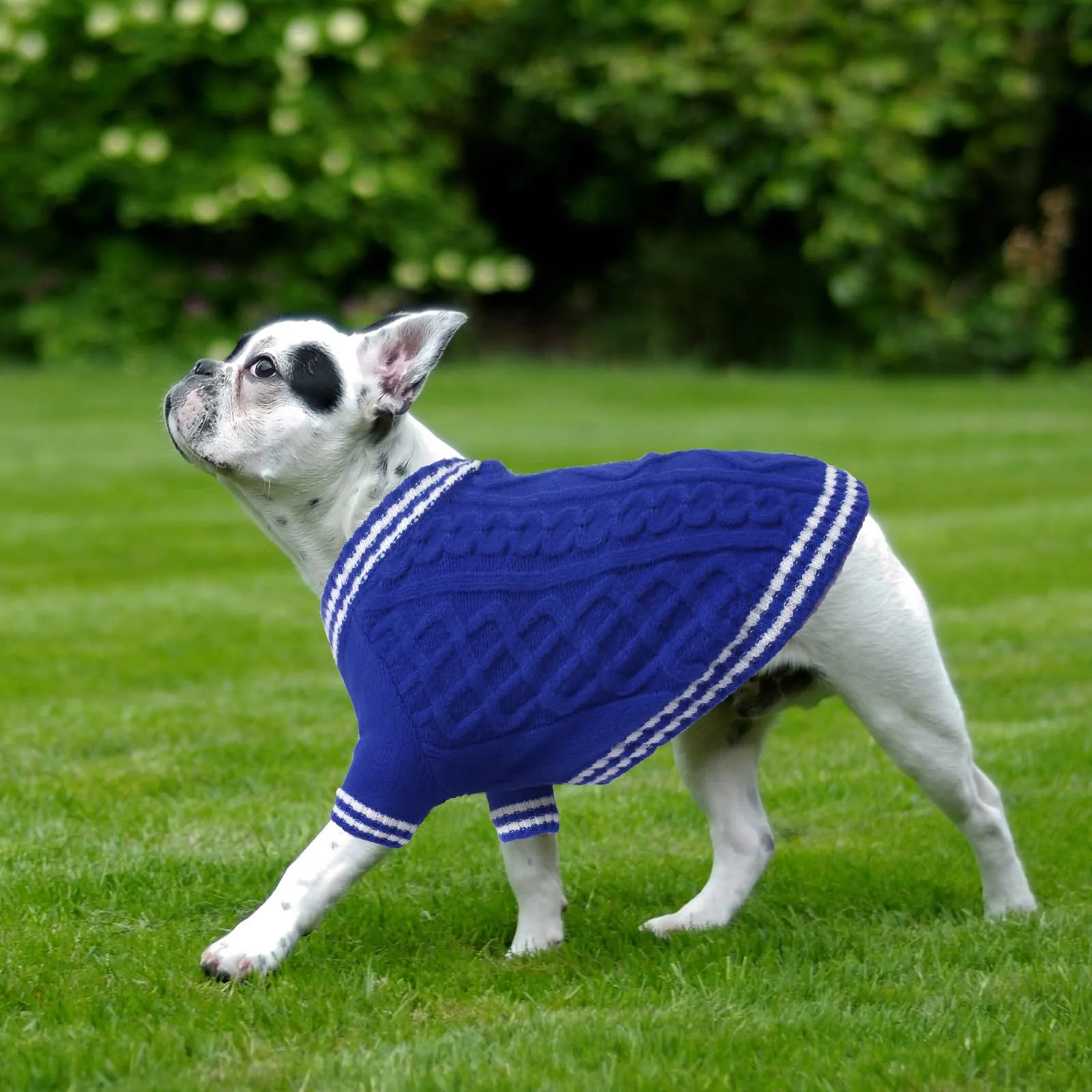 LiebeDD Maglioncino per Cane di Taglia Piccola Media Grande, Maglione per Gatto, Pullover Lavorato a Maglia per Animali Domestici, Vestiti Caldi e Morbidi Invernali, Blu, L - immagine 5