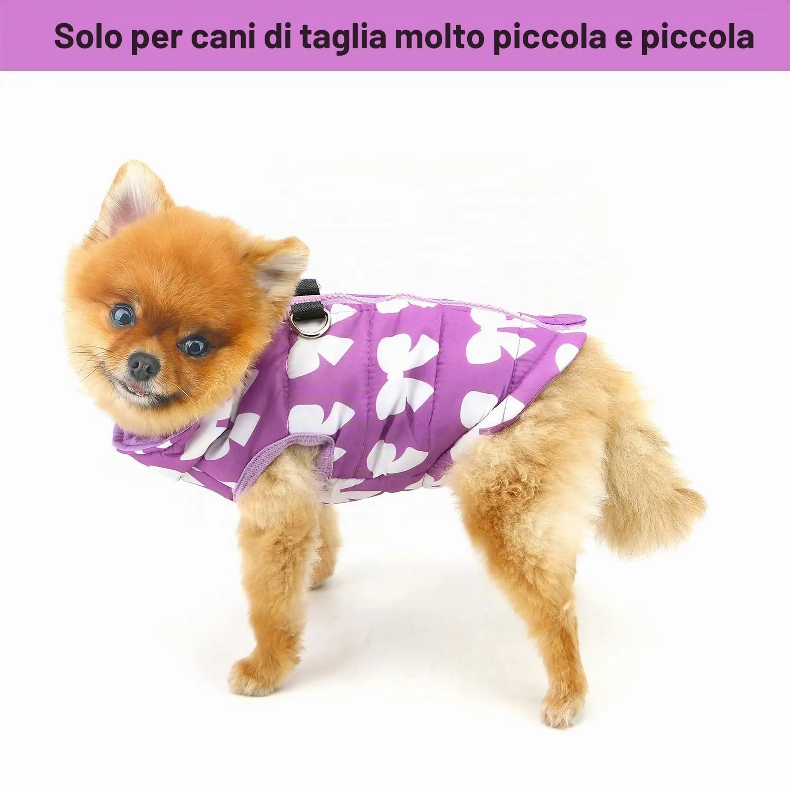 Smalllee_Lucky_Store Giacca invernale imbottita e resistente all'acqua per animali domestici con anello a D per cani di piccola taglia, gatti, Chiusura lampo, Cappotto per cuccioli Chihuahua, Yorkie - immagine 3