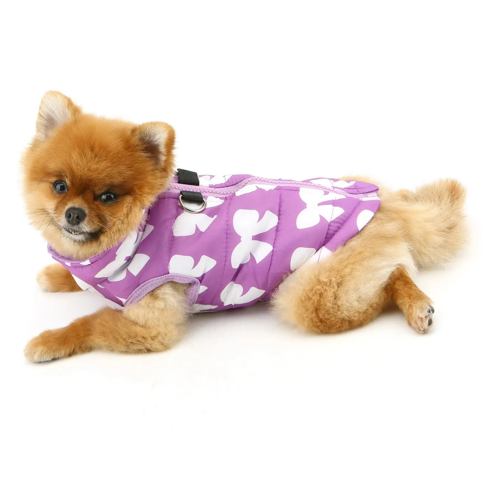 Smalllee_Lucky_Store Giacca invernale imbottita e resistente all'acqua per animali domestici con anello a D per cani di piccola taglia, gatti, Chiusura lampo, Cappotto per cuccioli Chihuahua, Yorkie - immagine 8