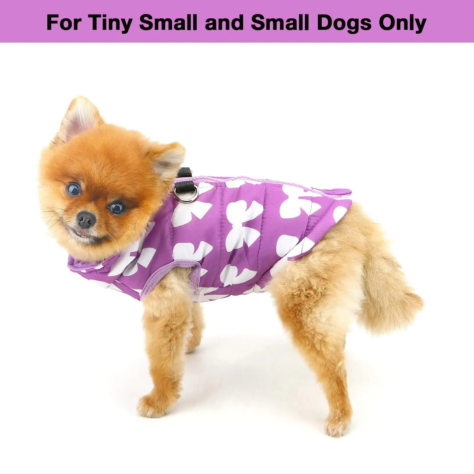 SMALLLEE_LUCKY_STORE Cappottino per cani di piccola taglia, con anello a D - immagine 3