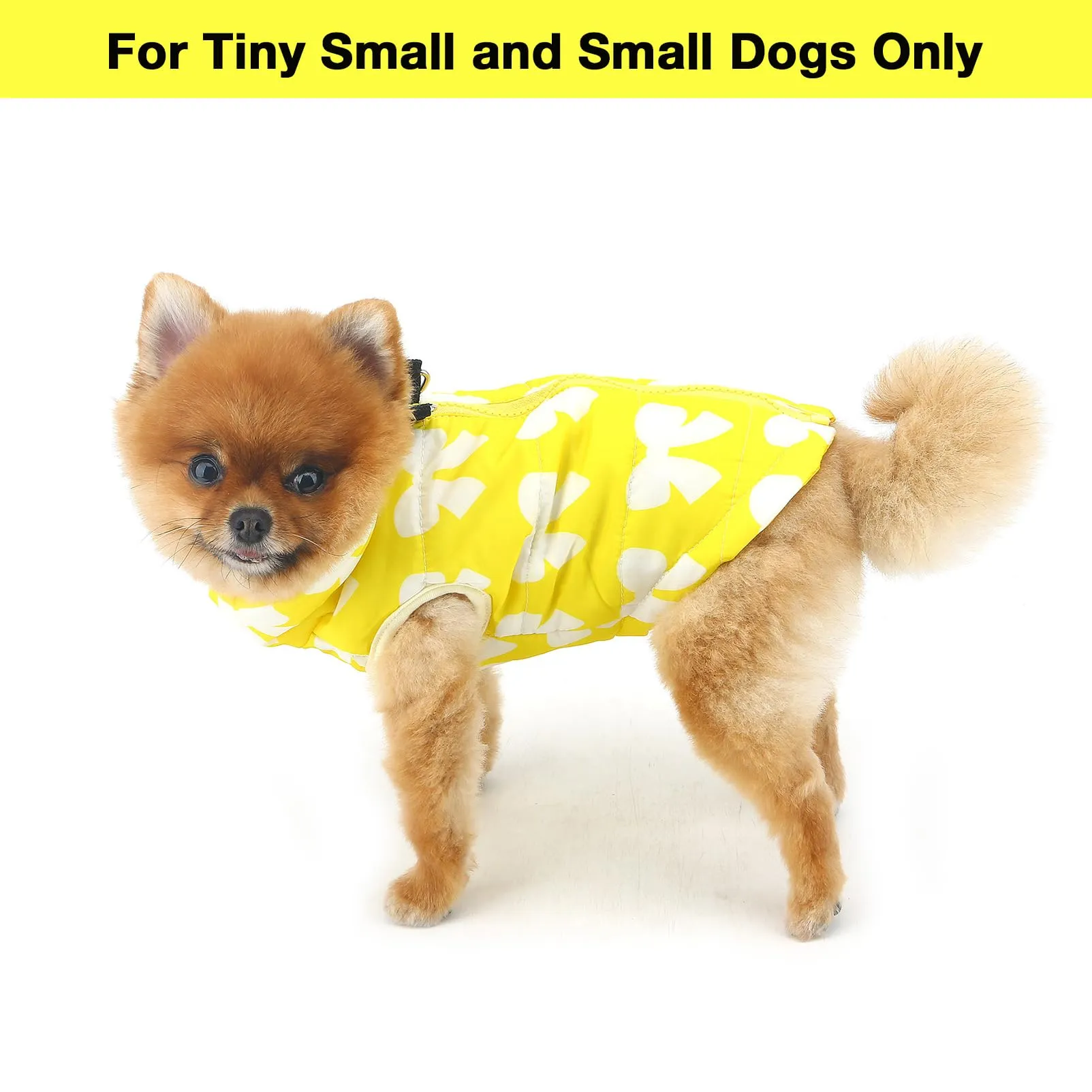 SMALLLEE_LUCKY_STORE Cappotto per cani di piccola taglia, con anello a D - immagine 3