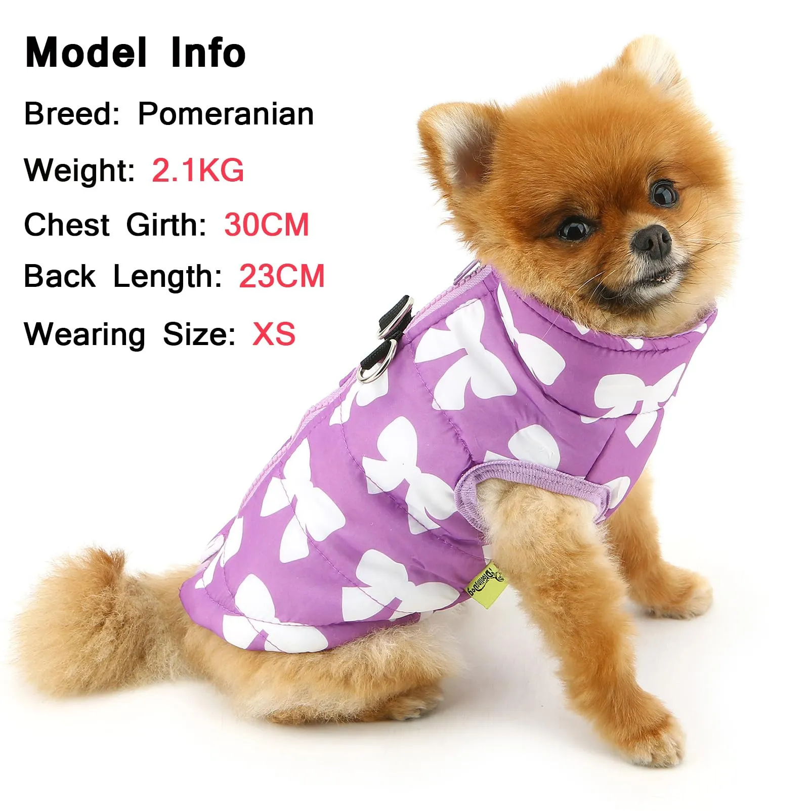 SMALLLEE_LUCKY_STORE Giacca invernale impermeabile per cani e gatti di piccola taglia, con cerniera, imbottita, per Chihuahua, Yorkie, gattini, abbigliamento caldo, Viola, L - immagine 2