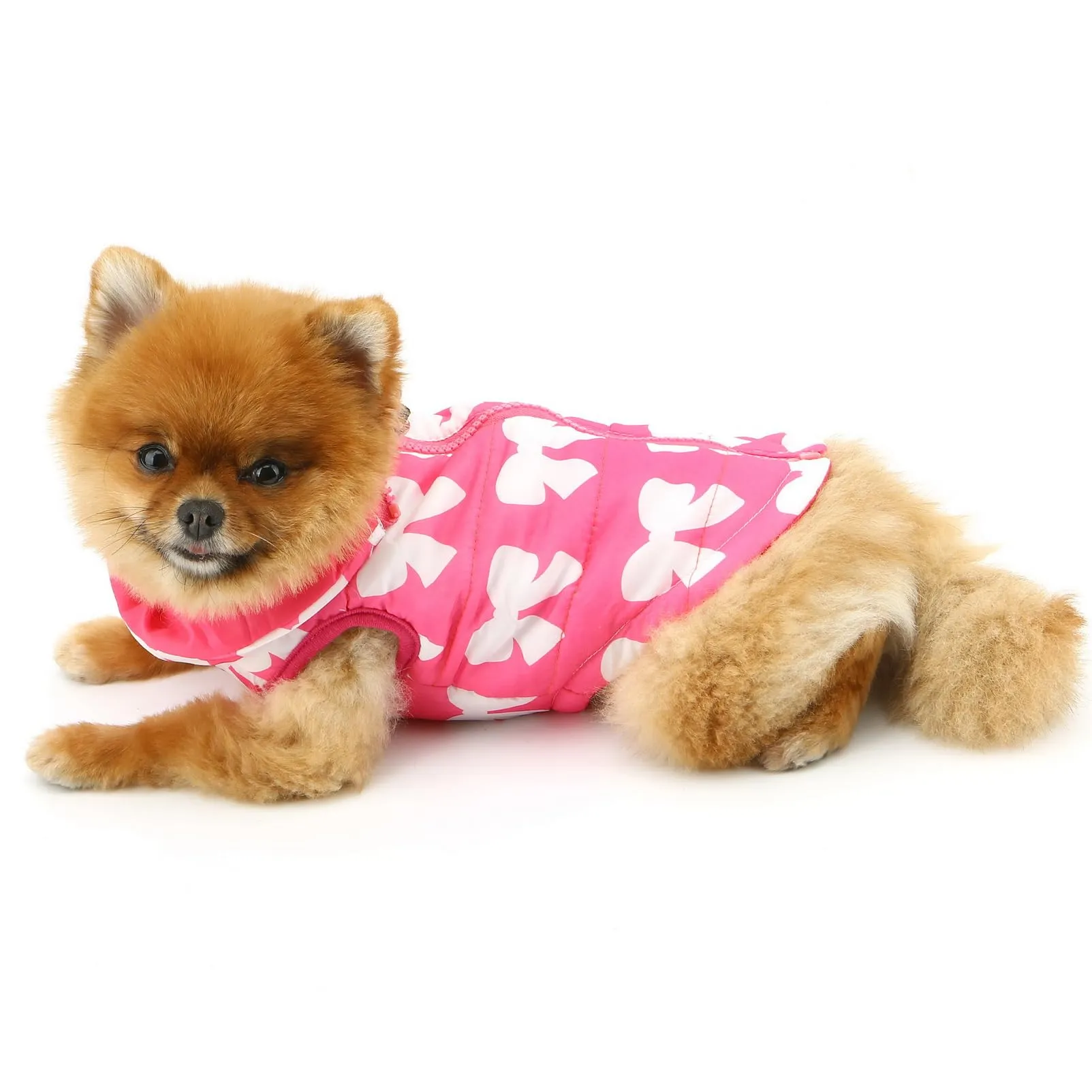 SMALLLEE_LUCKY_STORE Giubbotto invernale resistente all'acqua per animali domestici con anello a D per cani di piccola taglia, gatti, chiusura lampo, imbottito, cappotto per cuccioli, Chihuahua - immagine 8