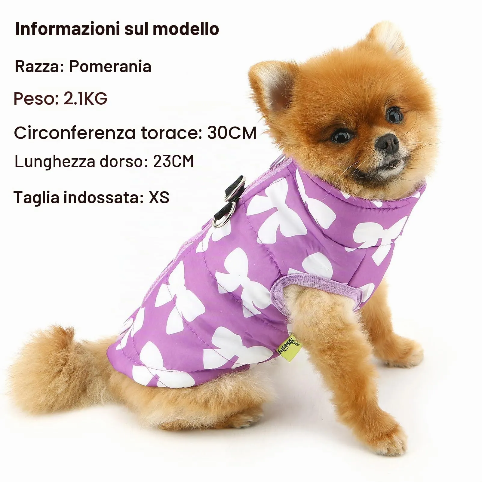 SMALLLEE_LUCKY_STORE Giubbotto invernale resistente all'acqua per animali domestici con anello a D per cani di piccola taglia, gatti, zip-up, imbottito, cappotto per cuccioli Chihuahua Yorkie gattini - immagine 2