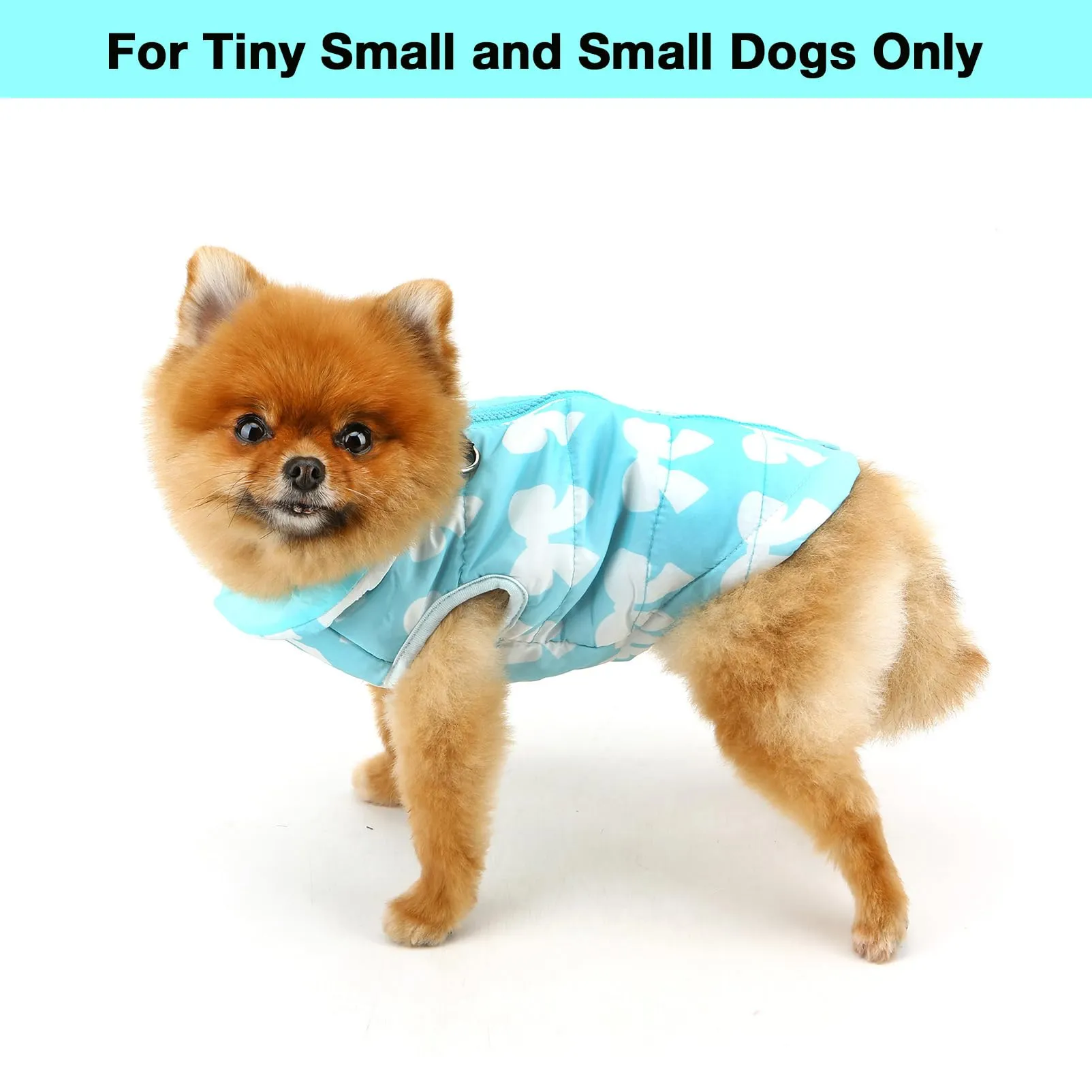 SMALLLEE_LUCKY_STORE, cappotto invernale impermeabile con anello a D per cani e gatti di piccola taglia - Mantello imbottito con cerniera - Per chihuahua, yorkshire, gattino - Blu - Taglia S - immagine 3