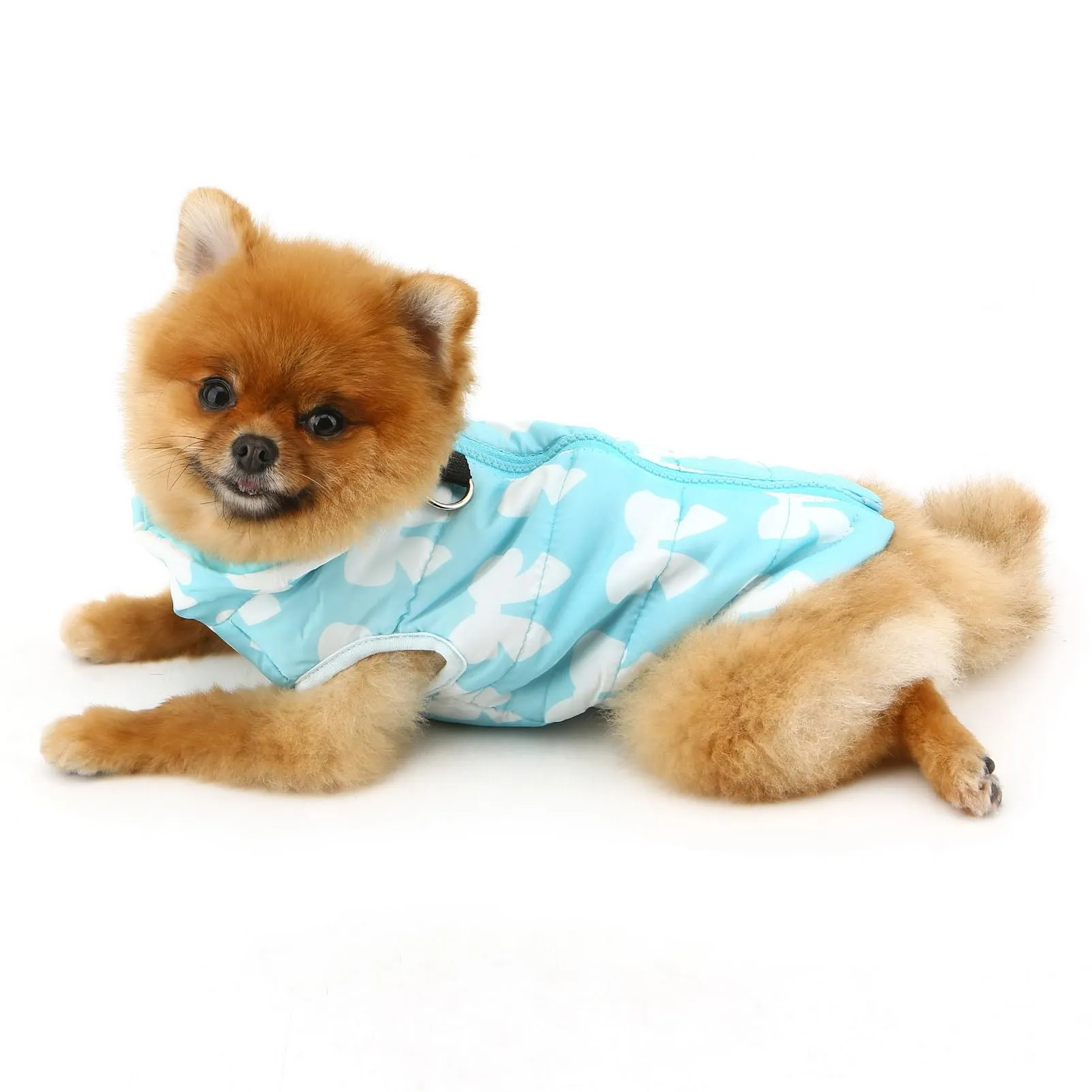 SMALLLEE_LUCKY_STORE Giubbotto invernale resistente all'acqua per animali domestici con anello a D per cani di piccola taglia, gatto, zip-up, imbottito, cappotto per cuccioli Chihuahua, Yorkie - immagine 8