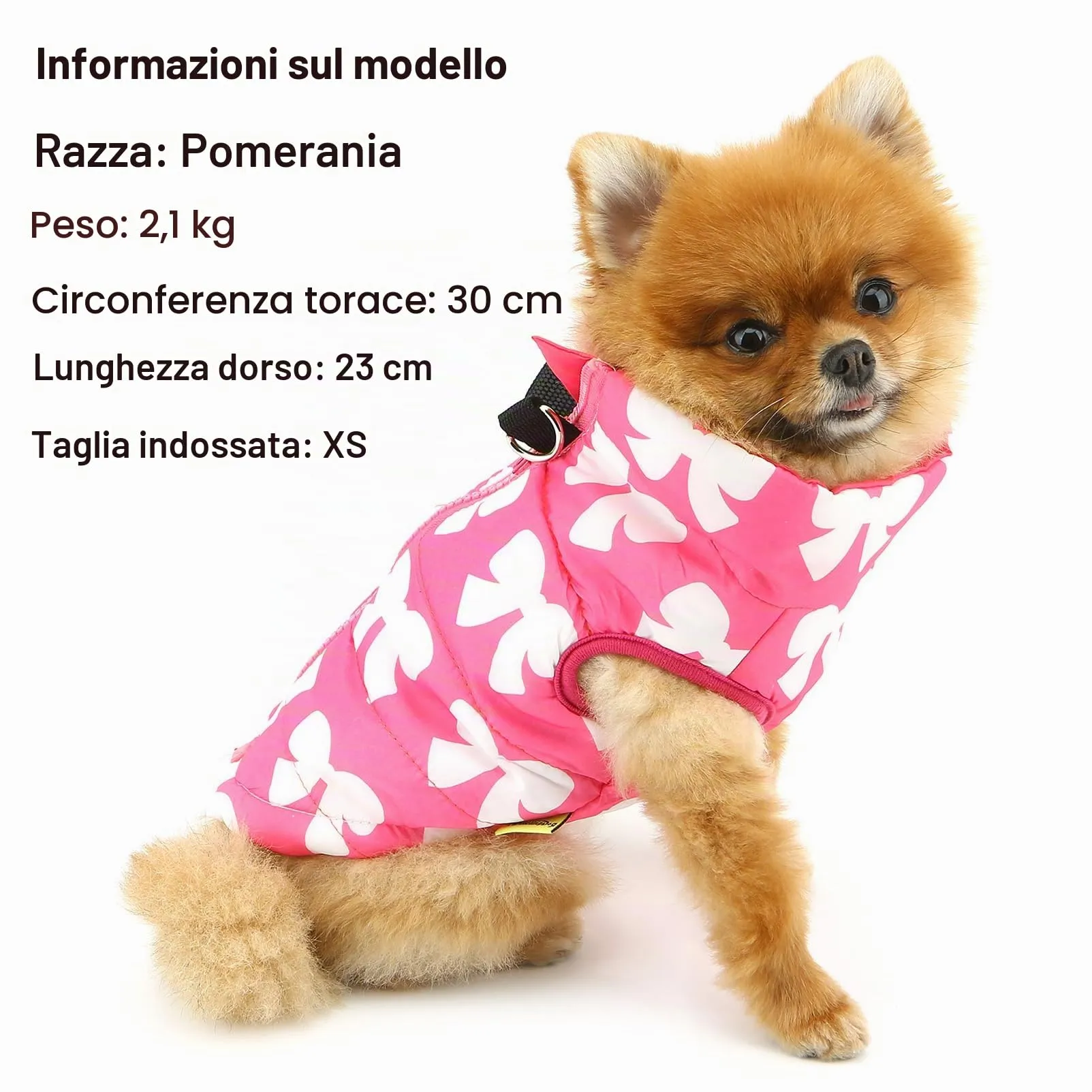 SMALLLEE_LUCKY_STORE Giacca invernale impermeabile per animali domestici, con anello a D, per cani di piccola taglia e gatto, imbottita con cerniera, cappotto caldo per chihuahua, Yorkie, gattino, - immagine 2
