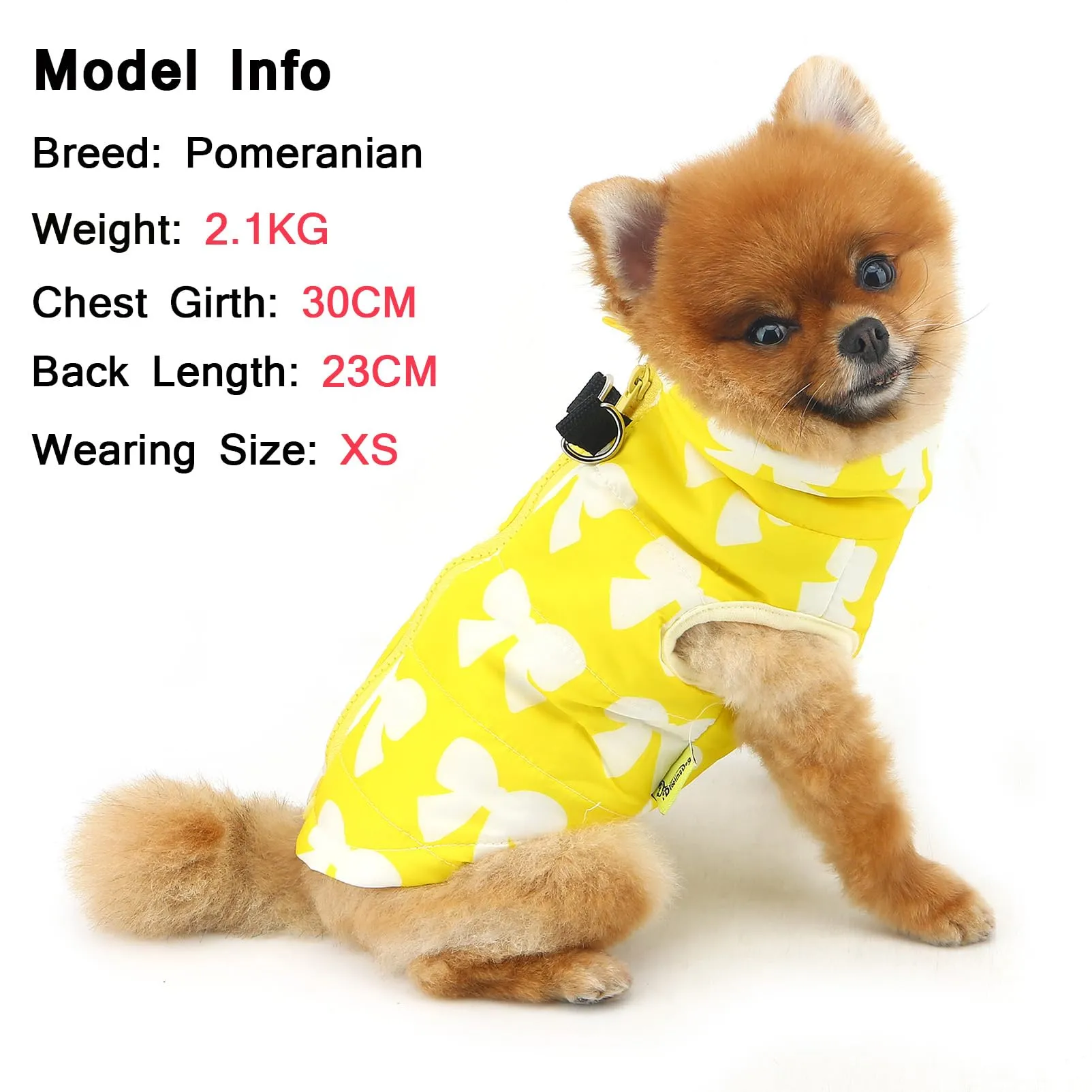SMALLLEE_LUCKY_STORE Giubbotto invernale resistente all'acqua per animali domestici con anello a D per cani di piccola taglia e gatti, con cerniera, imbottito, cappotto per cuccioli Chihuahua Yorkie - immagine 2