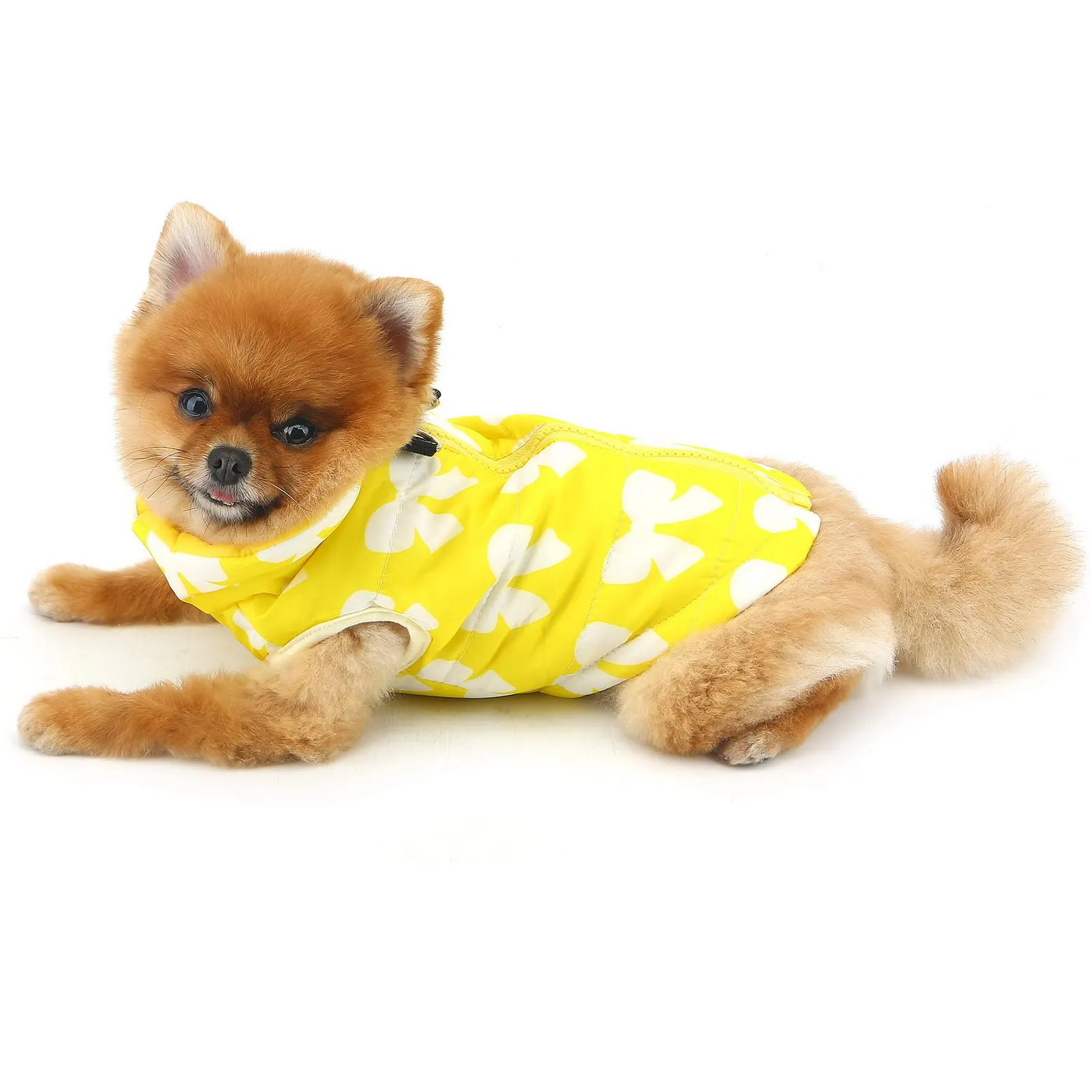 SMALLLEE_LUCKY_STORE Giubbotto invernale resistente all'acqua per animali domestici con anello a D per cani di piccola taglia, gatti, chiusura lampo, imbottito, cappotto per cuccioli, Chihuahua - immagine 8