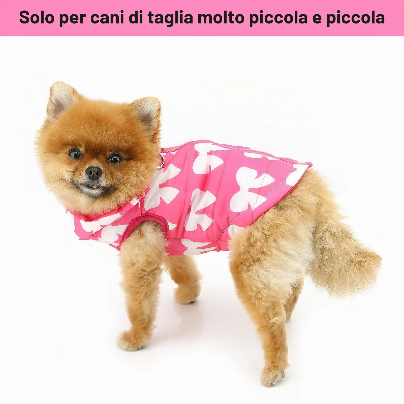 SMALLLEE_LUCKY_STORE Giubbotto invernale resistente all'acqua per animali domestici con anello a D per cani e gatti di piccola taglia, con cerniera, imbottito, cappotto per cuccioli Chihuahua, Yorkie - immagine 3