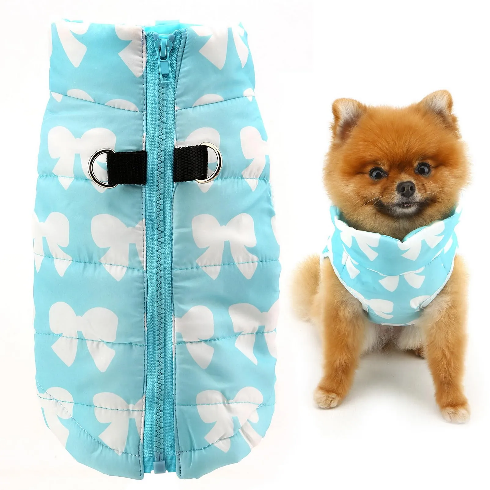 SMALLLEE_LUCKY_STORE Pettorina per cani di piccola taglia, con stampa a - immagine 1