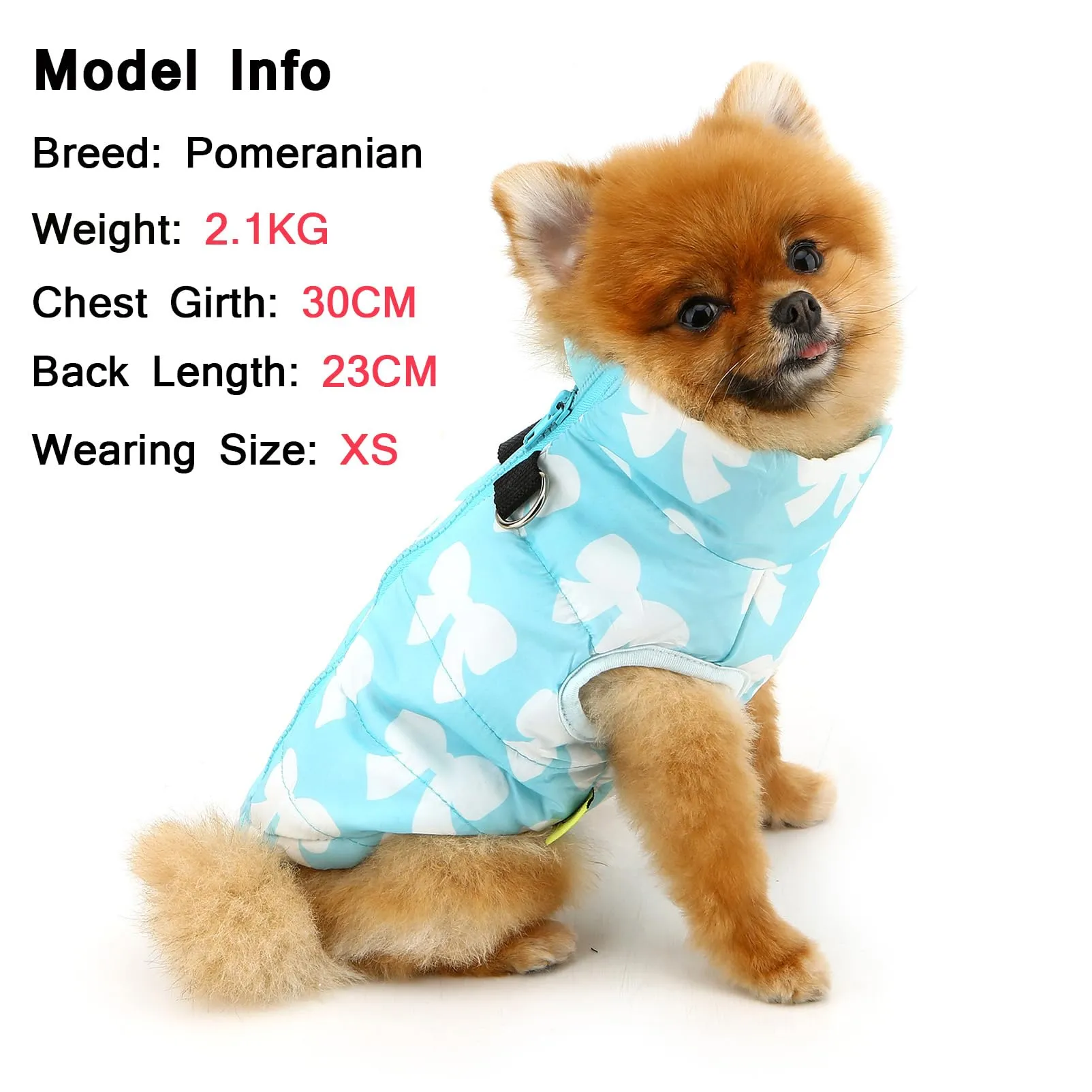SMALLLEE_LUCKY_STORE Pettorina per cani di piccola taglia, con stampa a - immagine 2