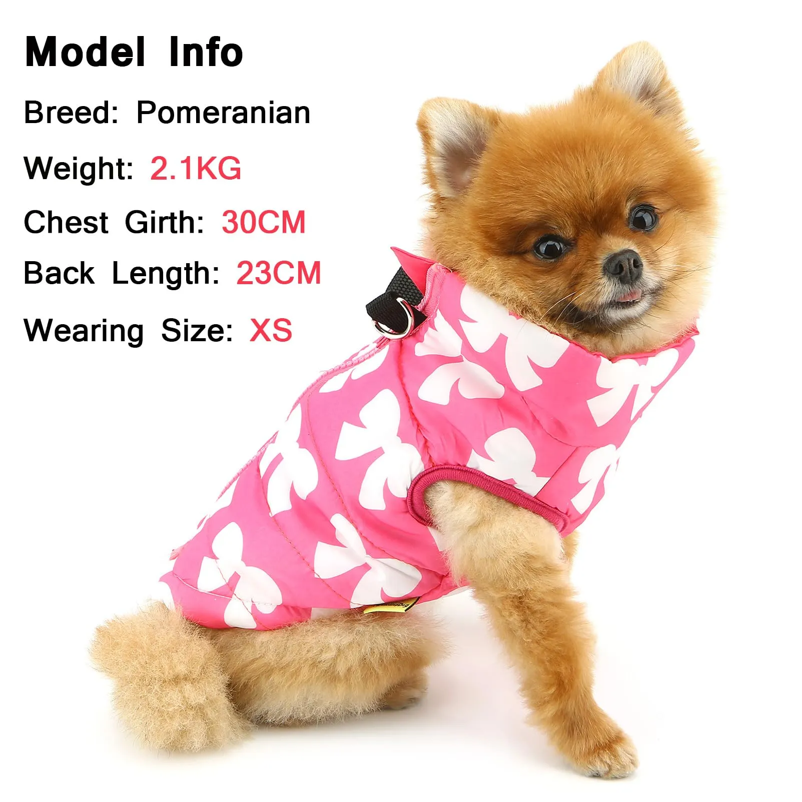 SMALLLEE_LUCKY_STORE Giubbotto Gilet Invernale Impermeabile per Animali Domestici con Anello a D per Cani di Piccola Taglia e Gatti con Cerniera Imbottito Cappotto per Cuccioli Chihuahua Yorkie - immagine 2