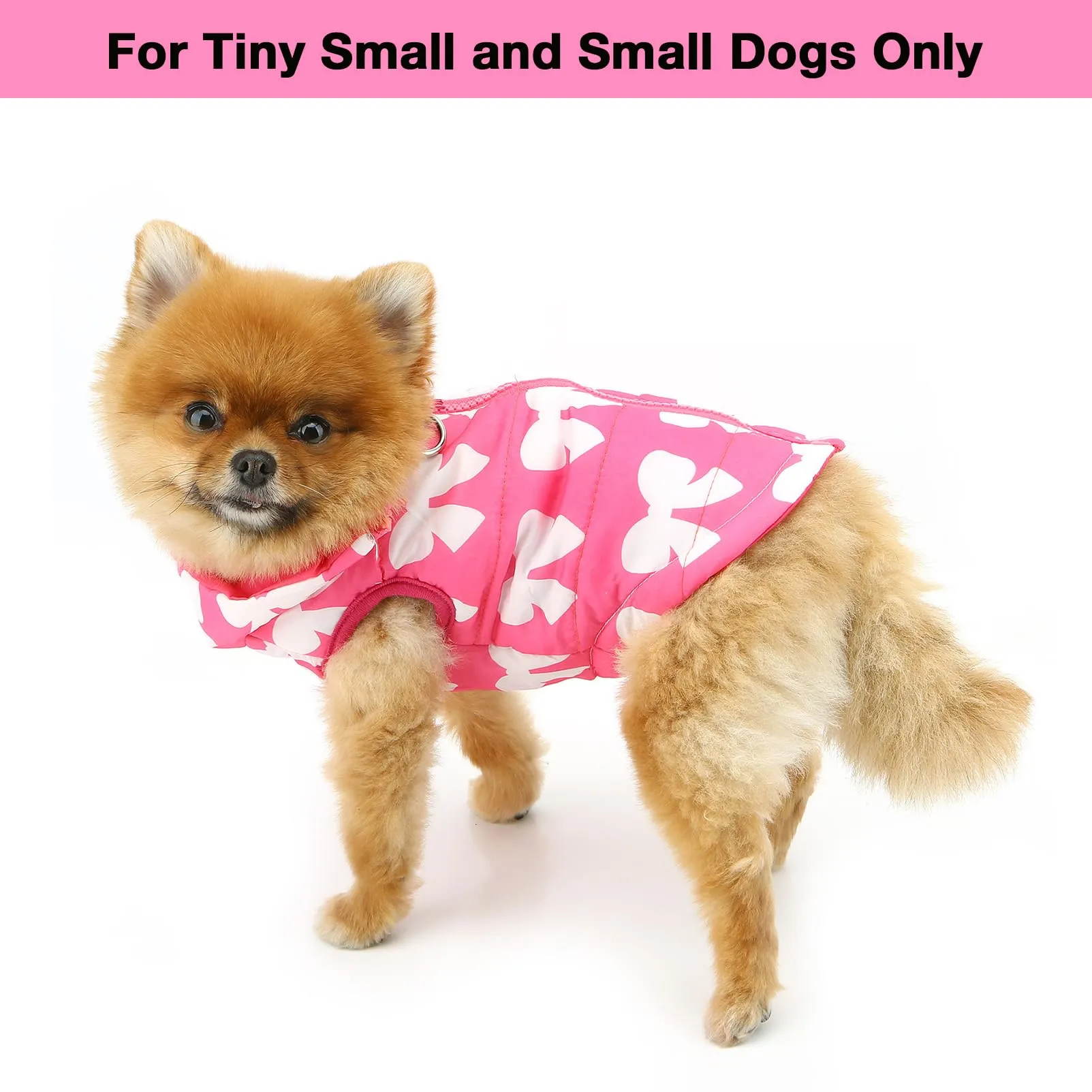 SMALLLEE_LUCKY_STORE Giubbotto Gilet Invernale Impermeabile per Animali Domestici con Anello a D per Cani di Piccola Taglia e Gatti con Cerniera Imbottito Cappotto per Cuccioli Chihuahua Yorkie - immagine 3