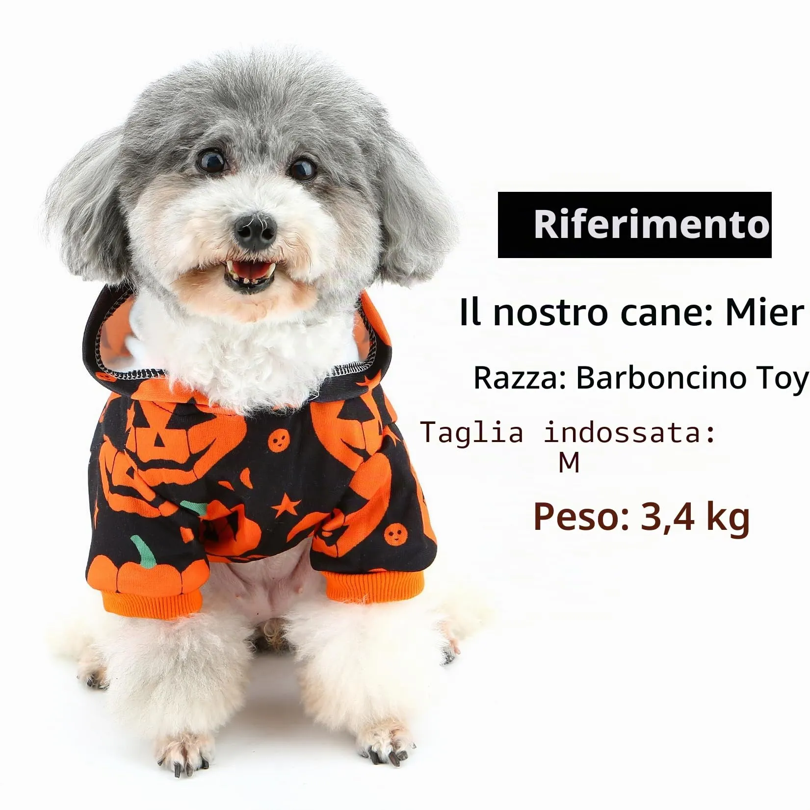 Zunea - Costume di Halloween a forma di zucca con cappuccio per cane, maglietta con cappuccio per cani piccoli, cuccioli, chihuahua, felpa con cappuccio, abbigliamento per cosplay, tuta in pile - immagine 7