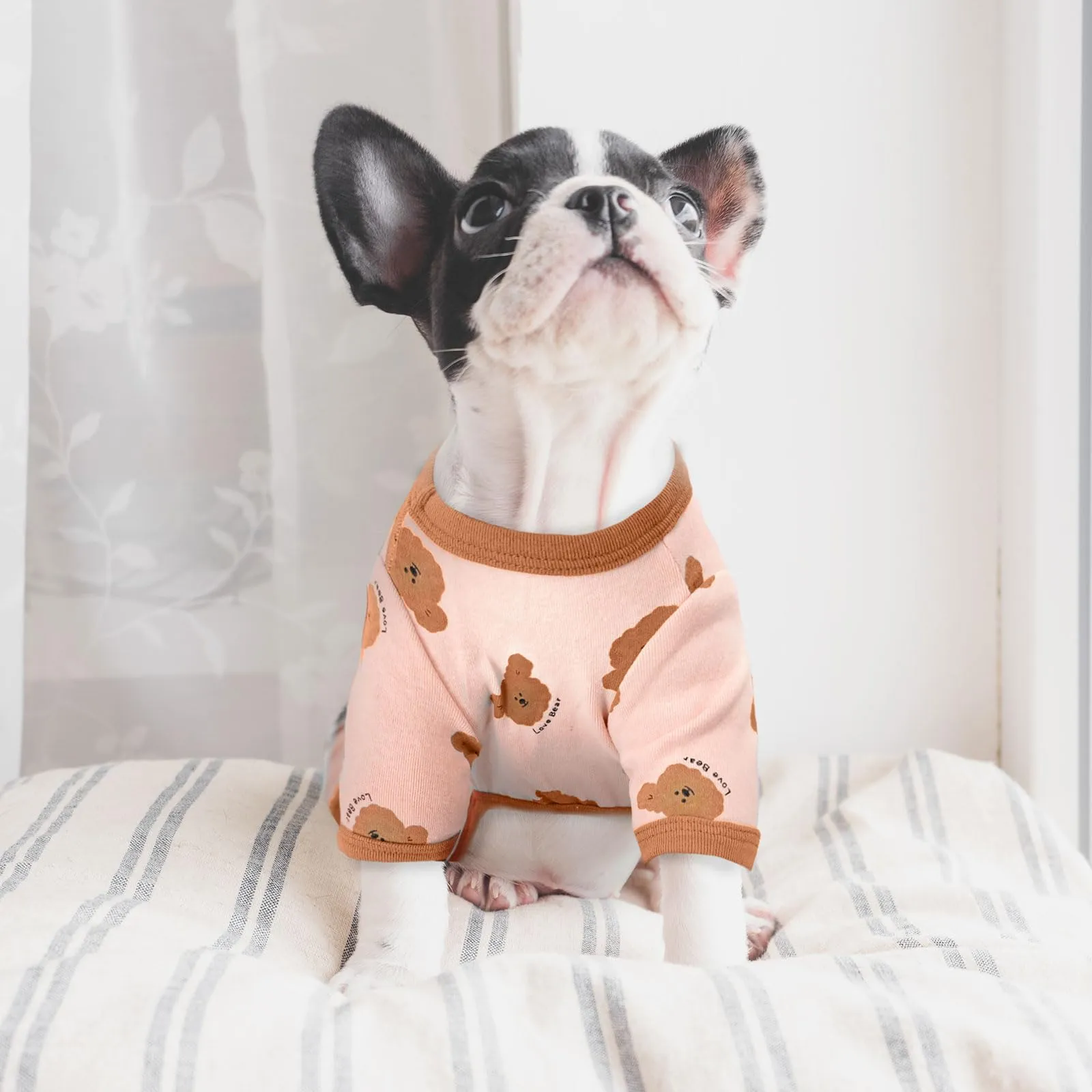 AXIIJGL Pigiama per cani di piccole dimensioni in cotone elastico tutine per cani comodi vestiti per cani extra piccoli tutine per cani carino orso stampato cane pigiama Bulldog francese vestiti - immagine 2