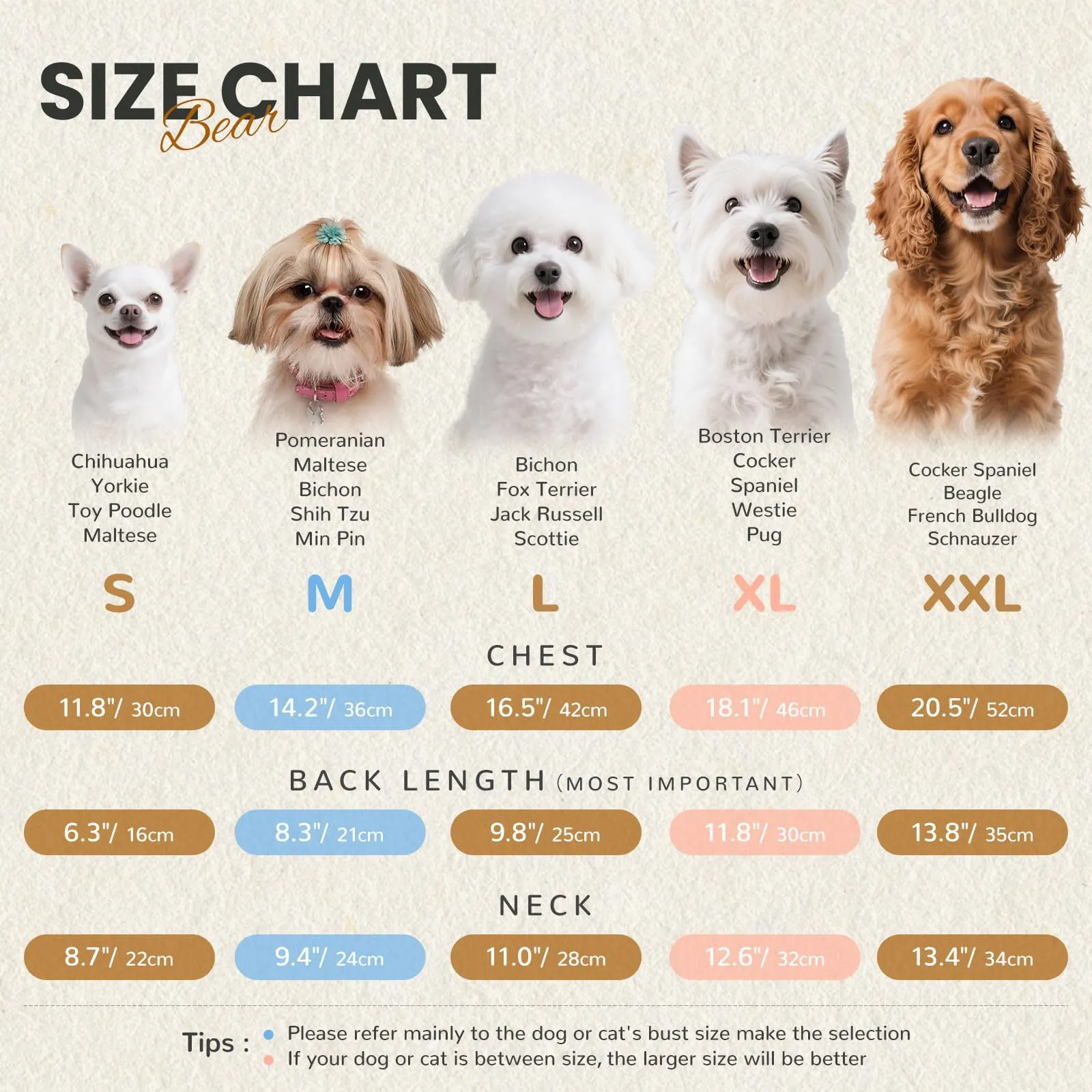 AXIIJGL Pigiama per cani di piccole dimensioni in cotone elastico tutine per cani comodi vestiti per cani extra piccoli tutine per cani carino orso stampato cane pigiama Bulldog francese vestiti - immagine 7