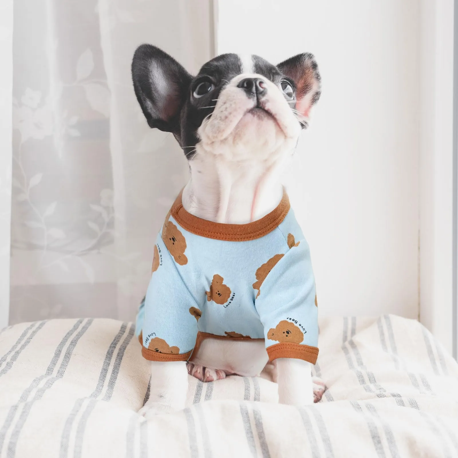 AXIIJGL Pigiama per cani di piccole dimensioni in cotone elastico tutine per cani comodi vestiti per cani extra piccoli tutine per cani carino orso stampato cane pigiama Bulldog francese vestiti - immagine 3