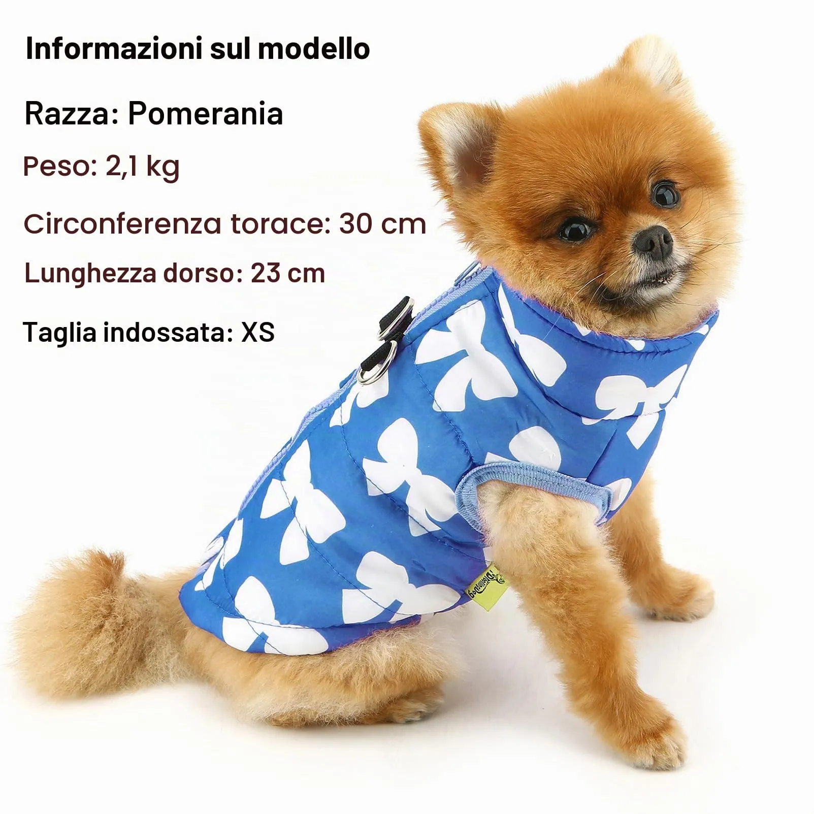 SMALLLEE_LUCKY_STORE Giacca invernale impermeabile per cani e gatti di piccola taglia, con cerniera, imbottita, mantello per cuccioli, Chihuahua, Yorkie, gattini, abbigliamento caldo, Blu scuro, S - immagine 3