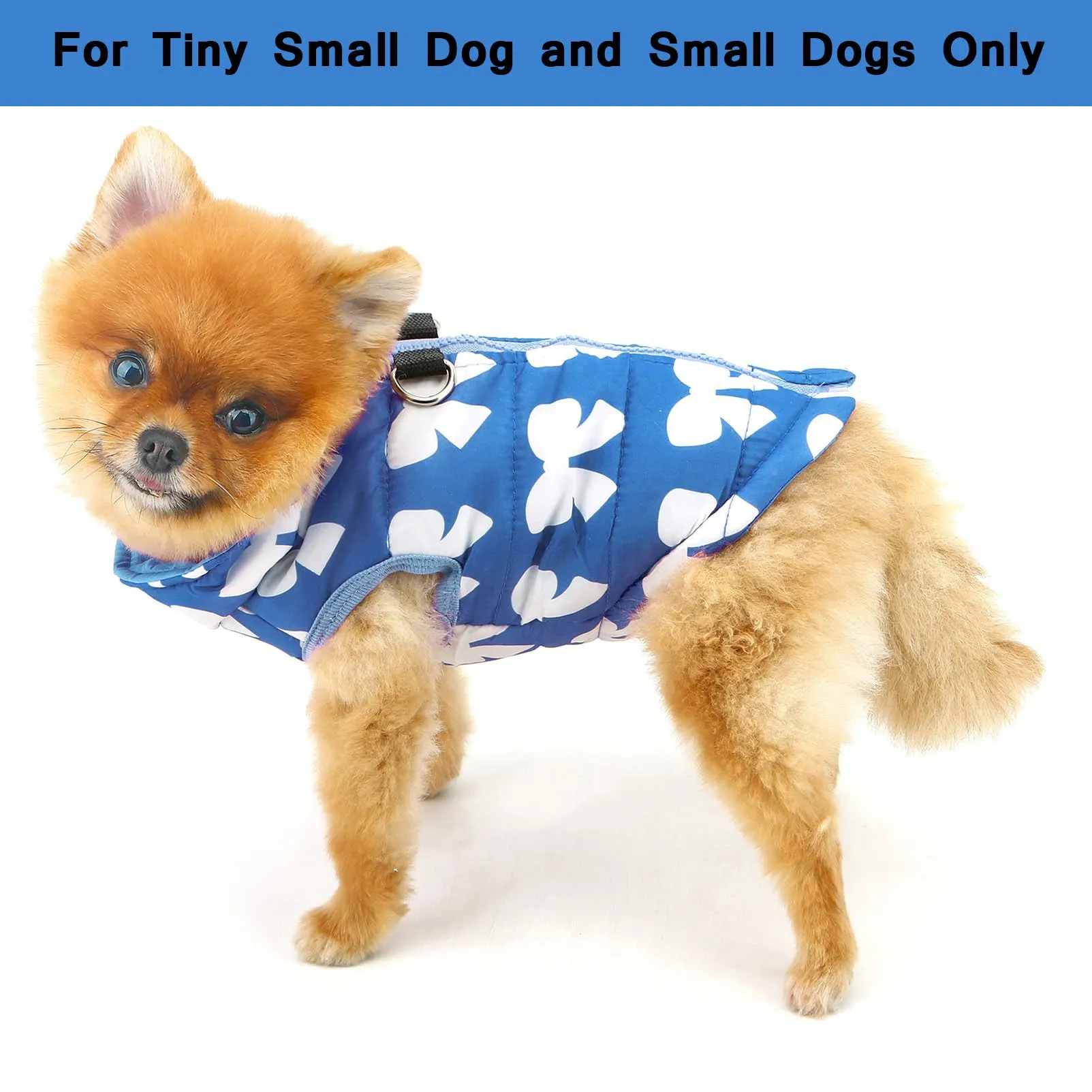 SMALLLEE_LUCKY_STORE Giubbotto invernale resistente all'acqua per animali domestici con anello a D per cani di piccola taglia, gatti, chiusura lampo, imbottito, cappotto per cuccioli, Chihuahua - immagine 2