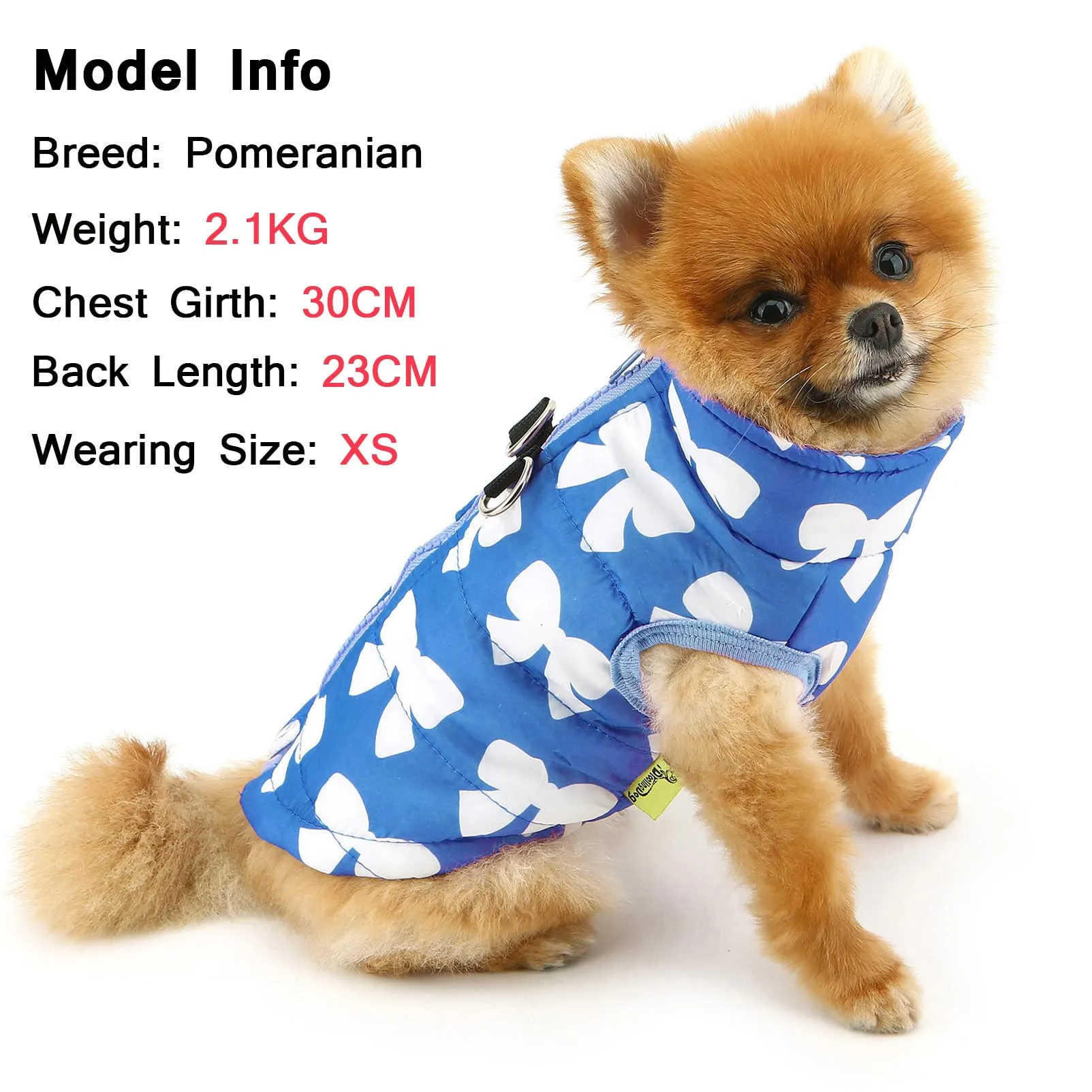 SMALLLEE_LUCKY_STORE Giubbotto invernale resistente all'acqua per animali domestici con anello a D per cani di piccola taglia, gatti, chiusura lampo, imbottito, cappotto per cuccioli, Chihuahua - immagine 3