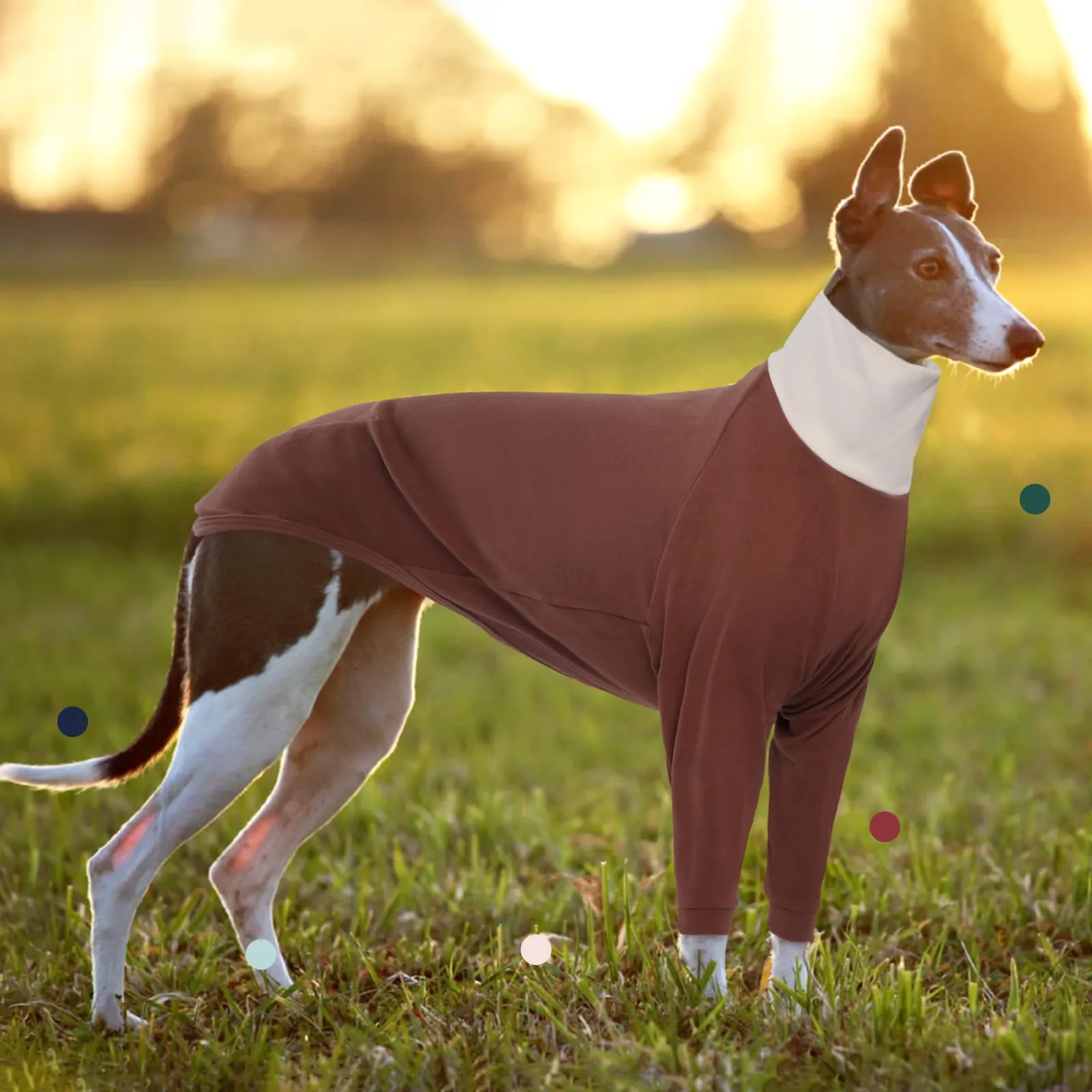 IECOii Maglione per levriero, Maglione a collo alto per cani levrieri, Maglione in pile caldo per levrieri italiani per primavera, autunno, inverno, Pigiama extra accogliente per levrieri con tuta a - immagine 7