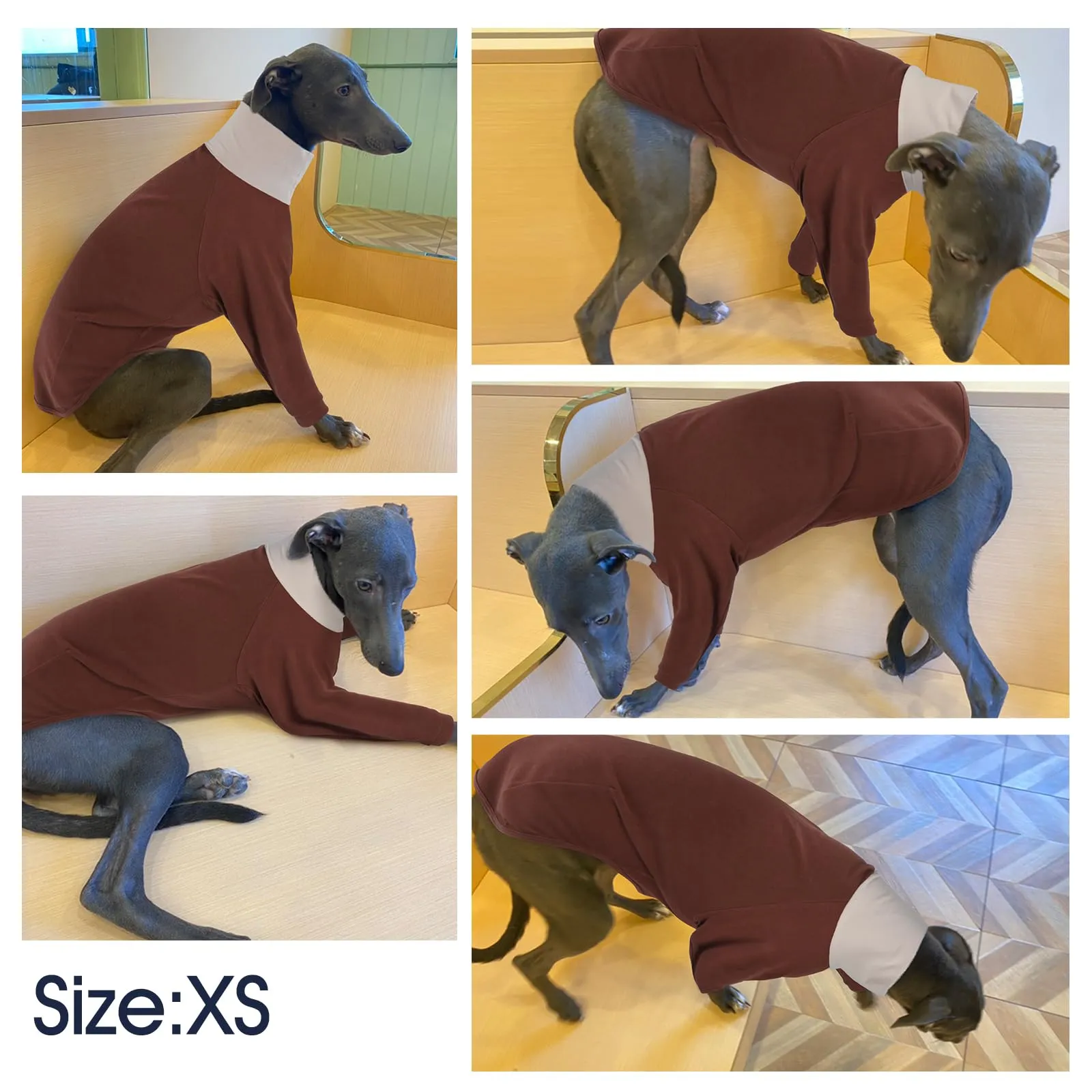 IECOii Maglione per Levriero, Maglione a Collo Alto per Cani Levriero, Caldo Maglione in Pile per Levriero Italiano per Primavera Autunno Inverno, Pigiama Extra Comodo per Levriero a Due Gambe - immagine 5