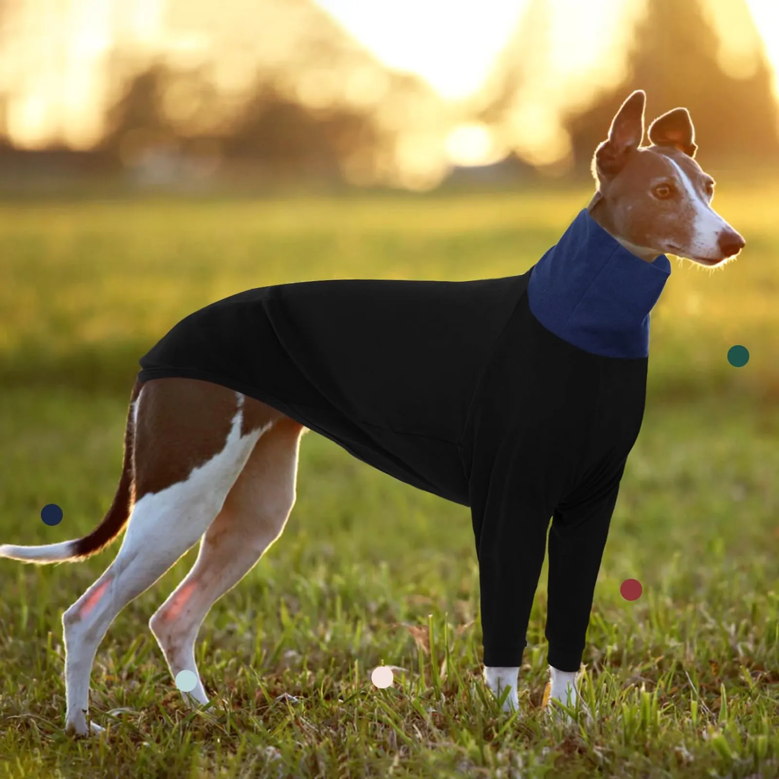 IECOii Maglia per Levriero, Maglia Termica con Collo Alto per Levriero Italiano, Maglione in Pile per Levriero da Inverno, Maglia in Pile per Levriero Whippet, Tuta in Pile per Cane da Levriero per - immagine 7