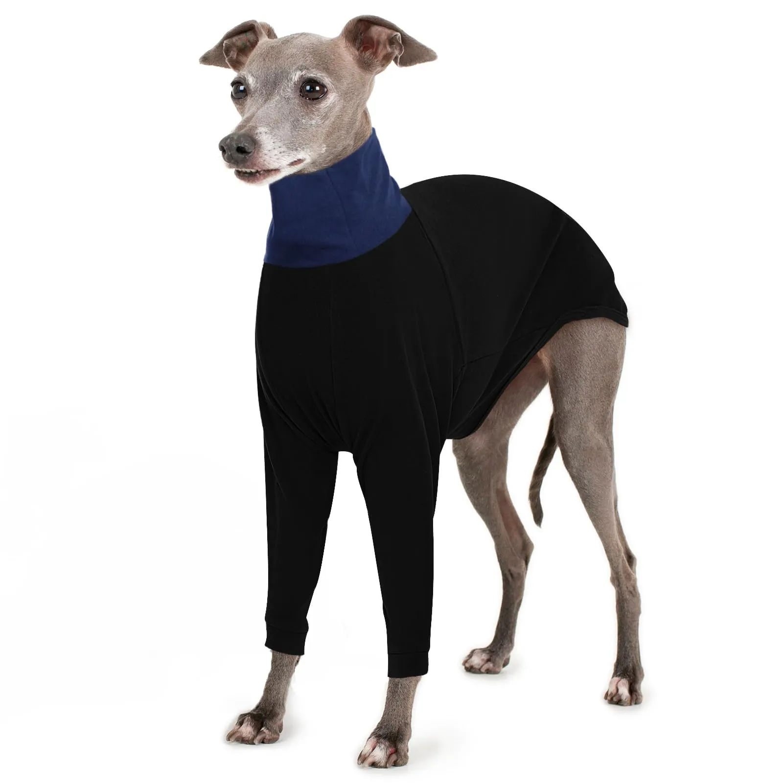 IECOii Maglione per Levriere, Maglione a Turcicollo per Cane Levriere, Caldo Maglione in Pile per Levrieri Italiani per Primavera Autunno Inverno, Pigiama Extra Comodo per Levriere in Due Pezzi a Tuta - immagine 1