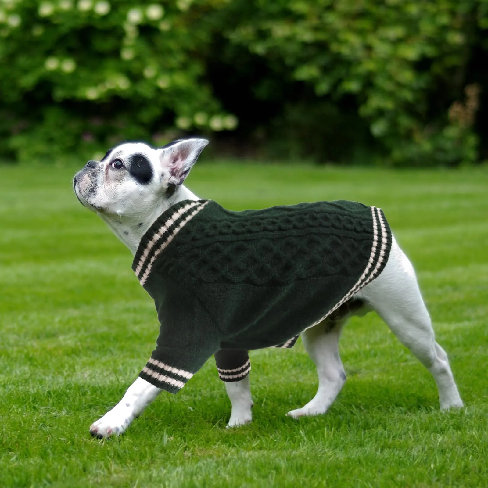 LiebeDD Maglioncino per Cane di Taglia Piccola Media Grande, Maglione per Gatto, Pullover Lavorato a Maglia per Animali Domestici, Vestiti Caldi e Morbidi Invernali, Verde Scuro, 2XL - immagine 5