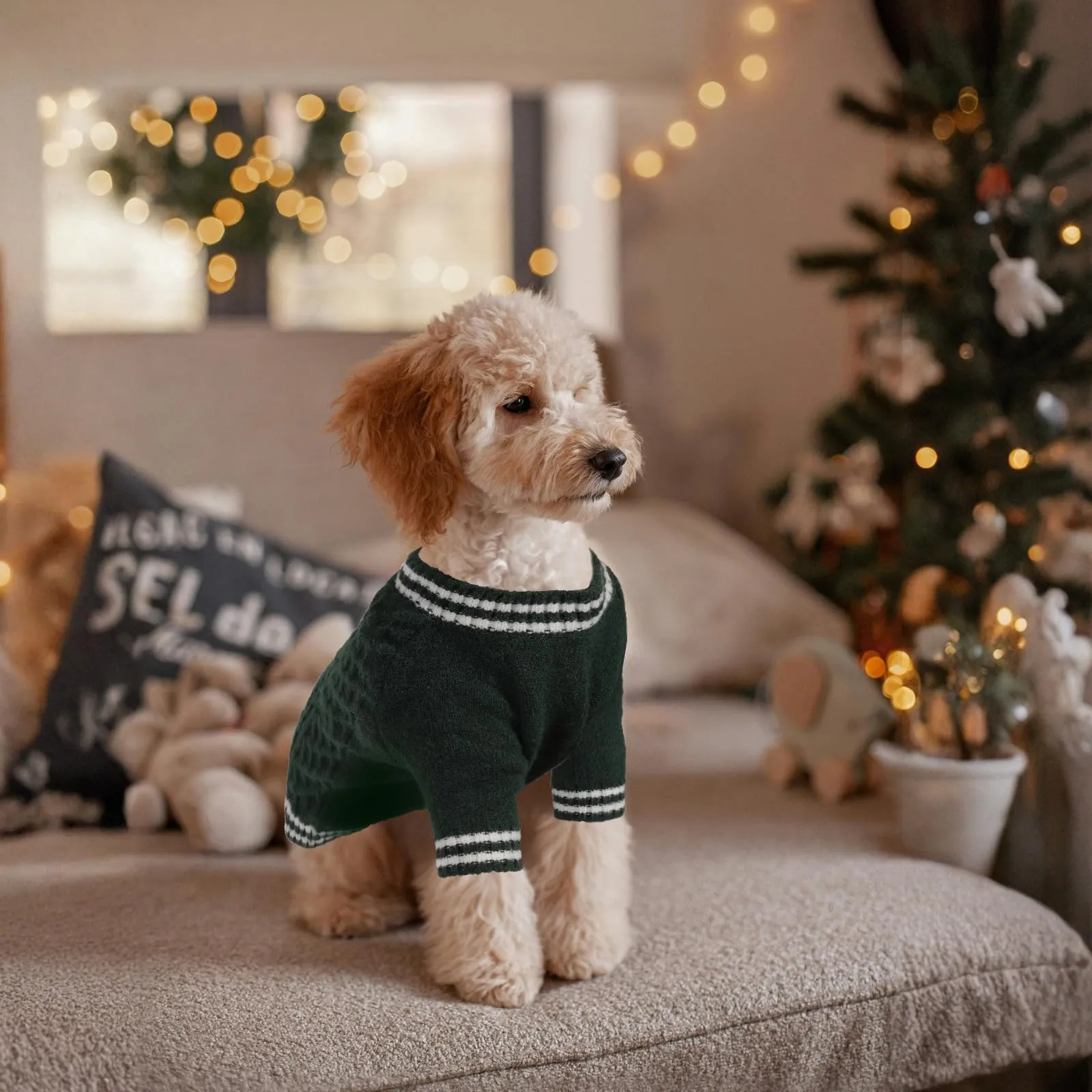 LiebeDD Maglioncino per Cane di Taglia Piccola Media Grande, Maglione Gatto, Pullover Lavorato a Maglia per Animali Domestici, Caldo e Morbido Vestito Invernale, Verde Scuro, S - immagine 2
