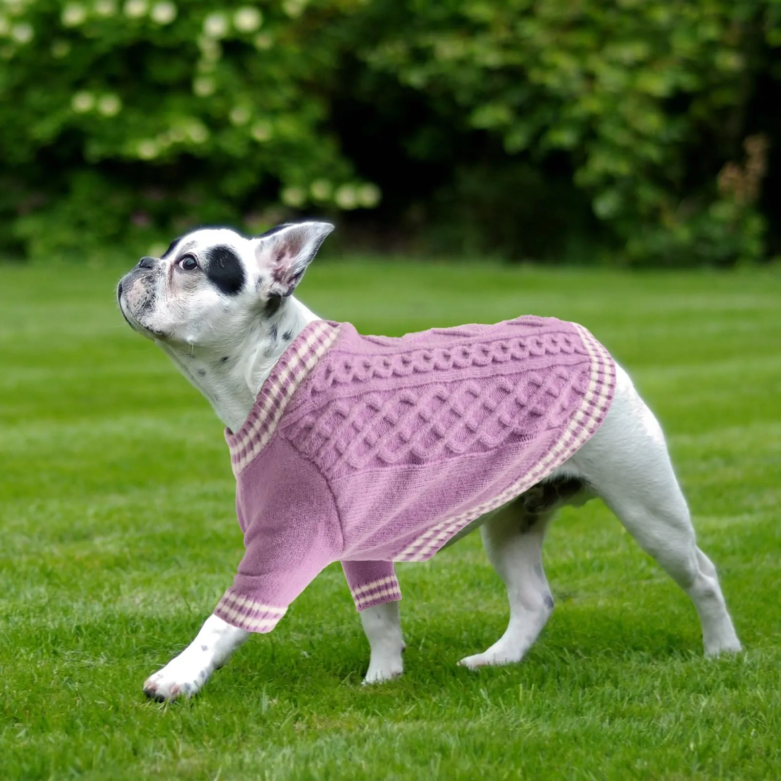 LiebeDD Maglioncino per Cane di Taglia Piccola Media Grande, Maglione per Gatto, Pullover Lavorato a Maglia per Animali Domestici, Caldo e Morbido Vestito Invernale, Viola, 2XL - immagine 5